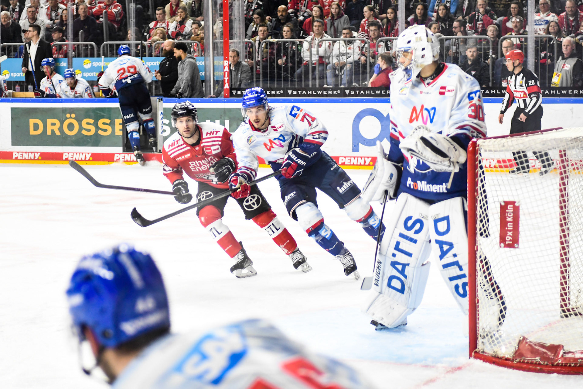 Borna Rendulic; DEL Kölner Haie - Adler Mannheim, 17.03.2023