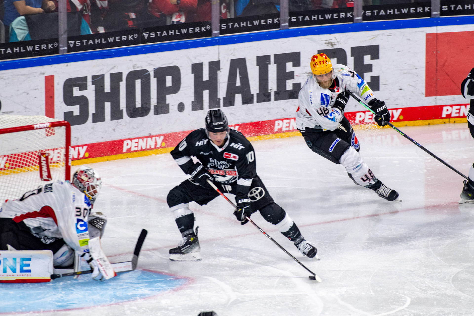 Justin Schuetz; DEL Kölner Haie - Bremerhaven Fischtown Pinguins, 01.11.2023