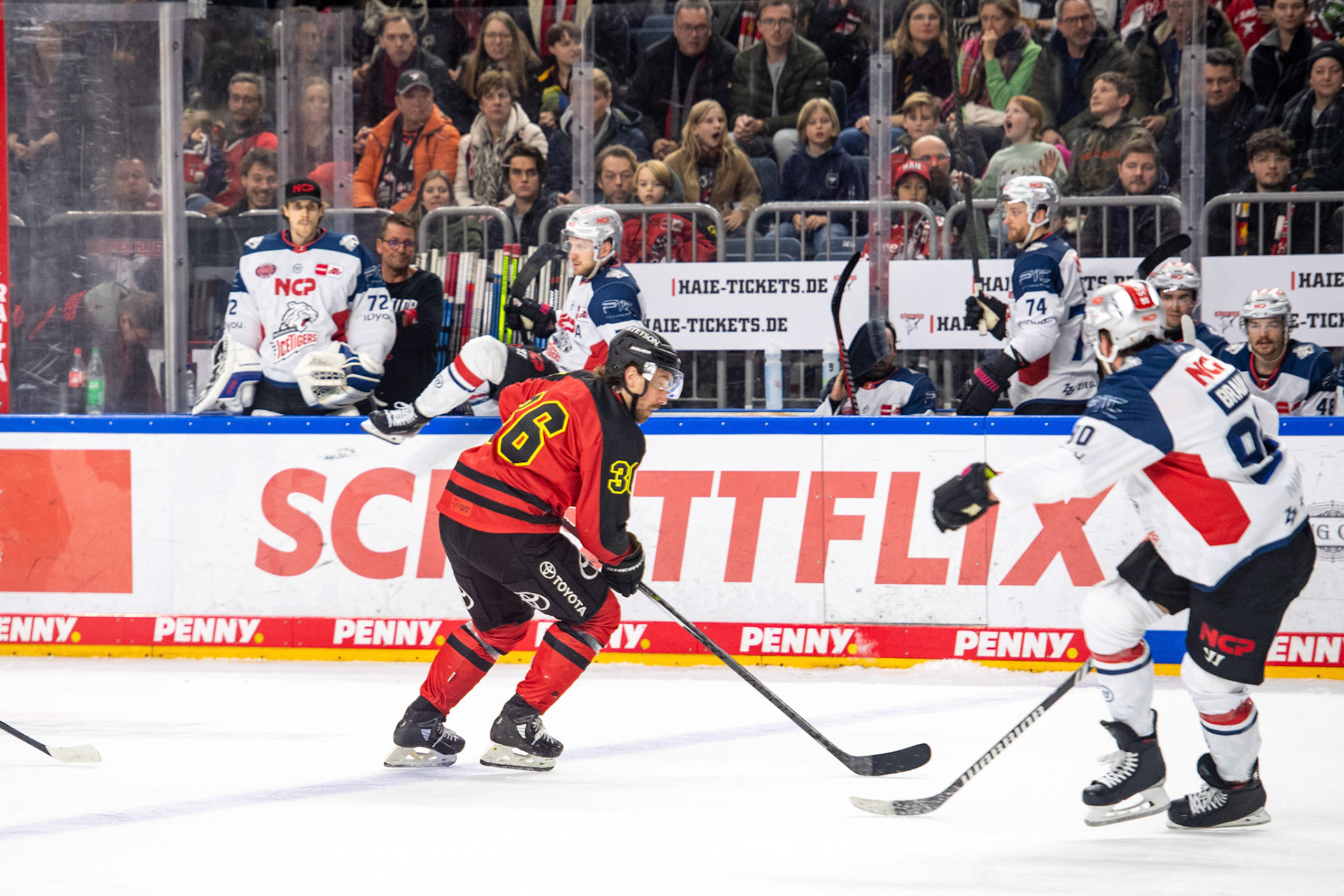 Andreas Thuresson; DEL Kölner Haie - Nürnberg Ice Tigers, 17.12.2023
