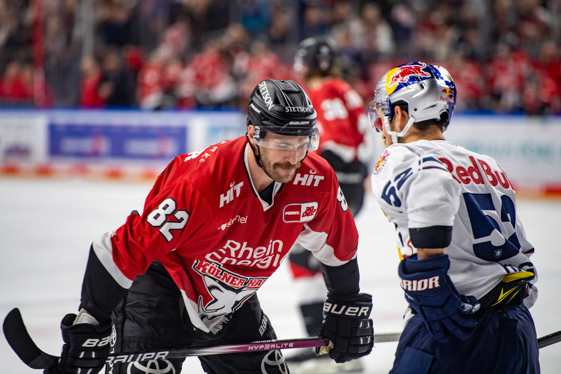 Alexandre Grenter und Patrick Hager; DEL Kölner Haie - EHC Red Bull München, 27.10.2023