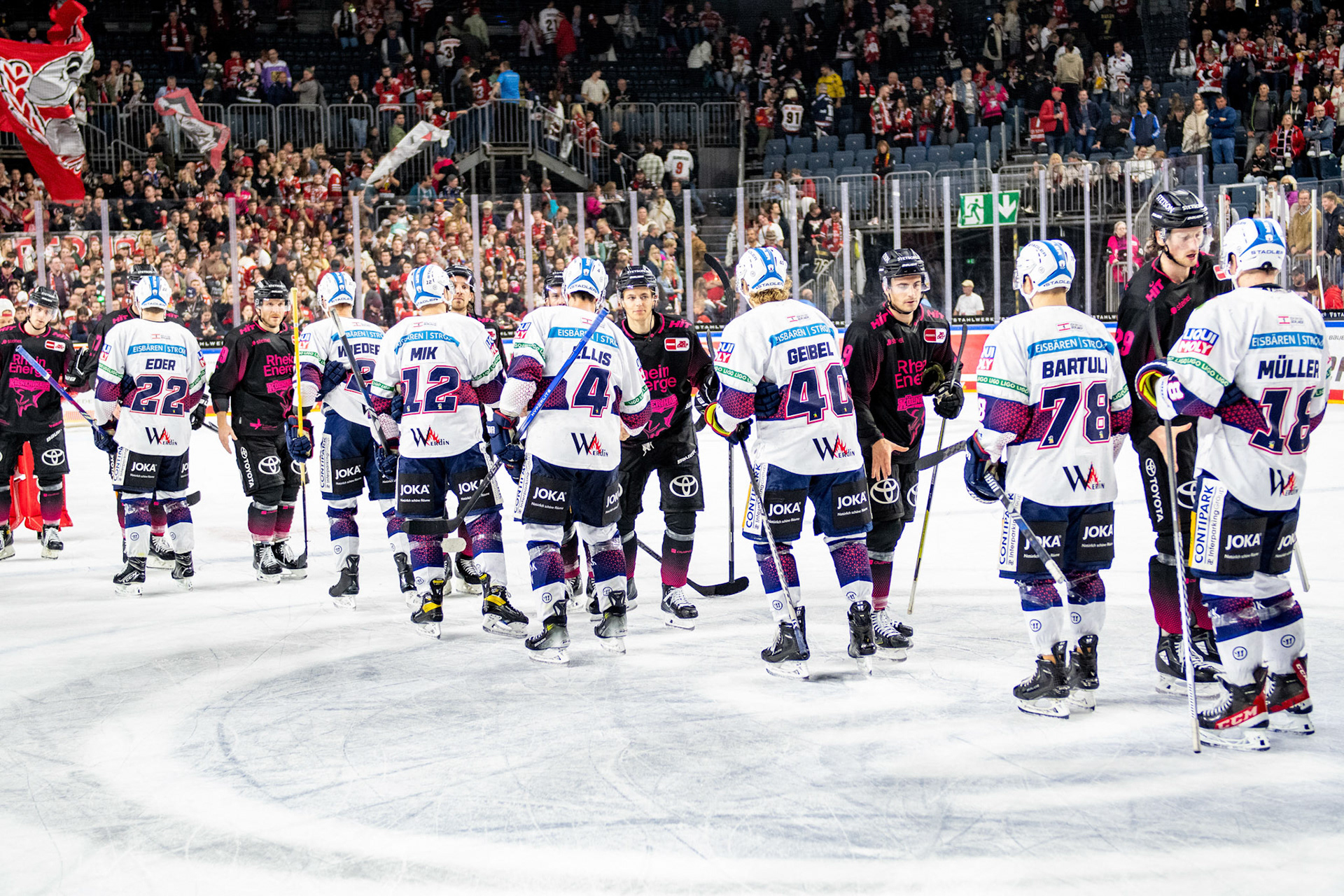 Koelner Haie, Eisbaeren Berlin; DEL Kölner Haie - Eisbaeren Berlin, 06.10.2023