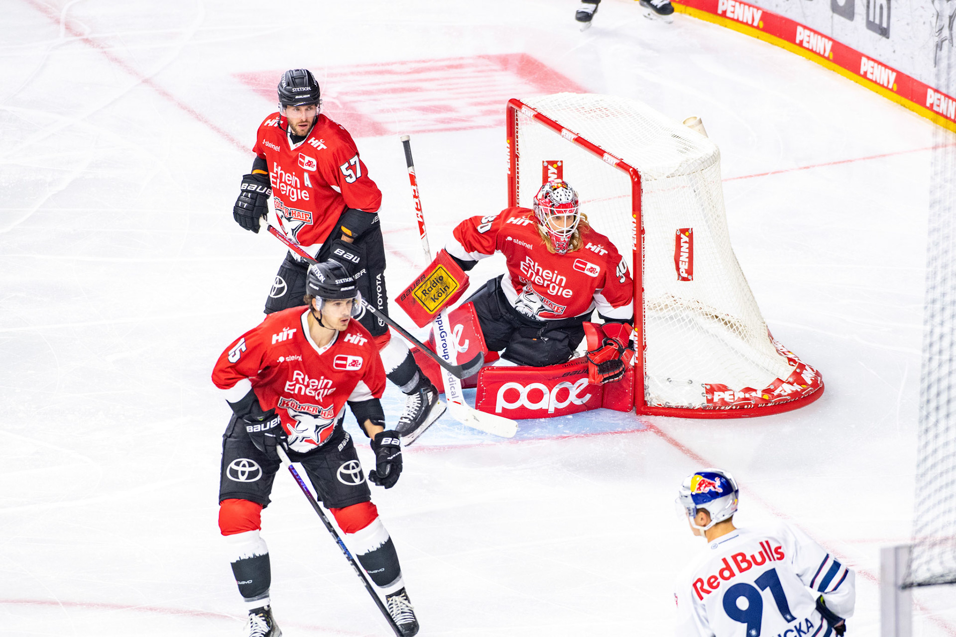 Koelner Haie; DEL Kölner Haie - EHC Red Bull München, 27.10.2023