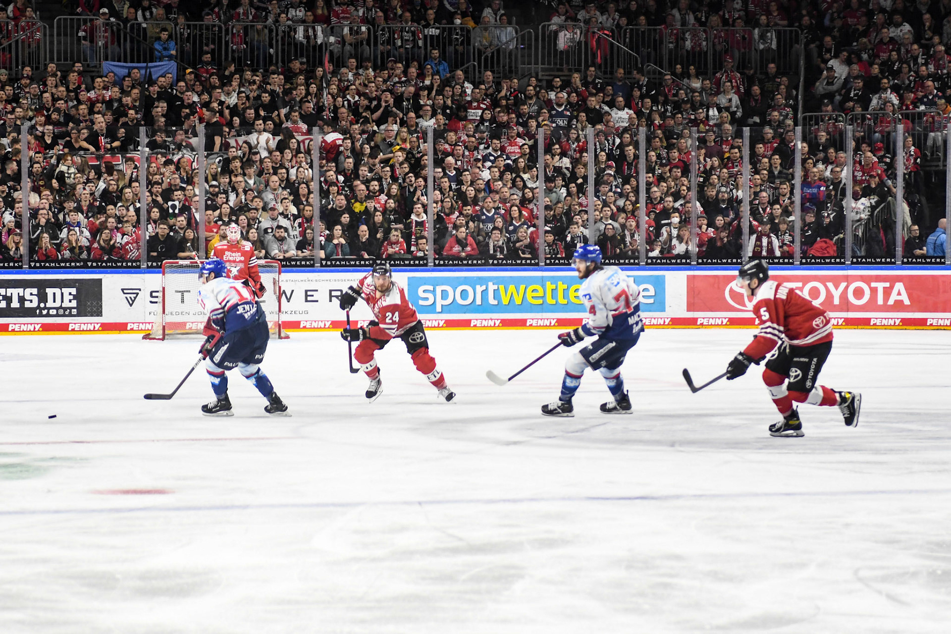 Robin van Calster; DEL Kölner Haie - Adler Mannheim, 17.03.2023