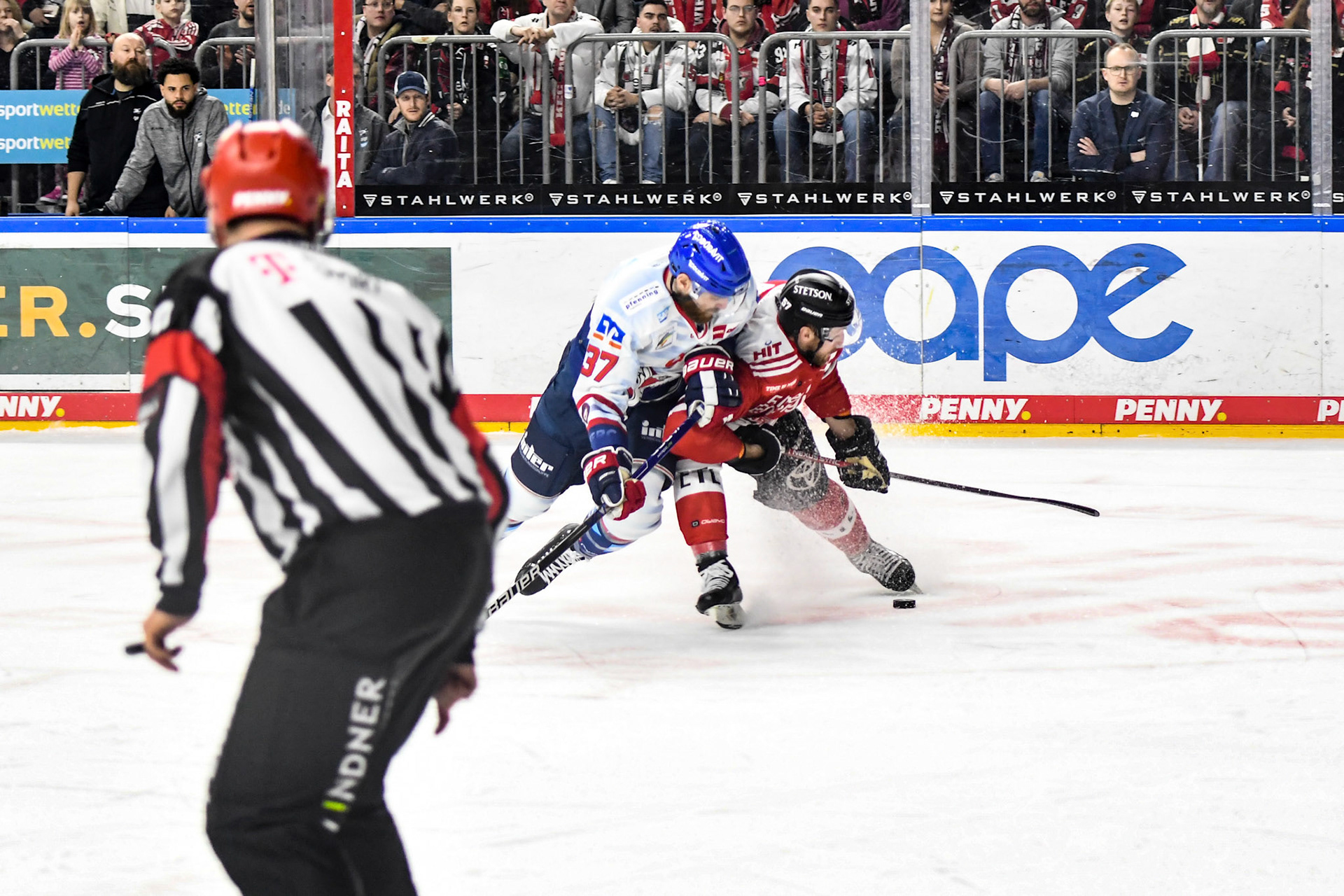 Brady Austin; DEL Kölner Haie - Adler Mannheim, 17.03.2023
