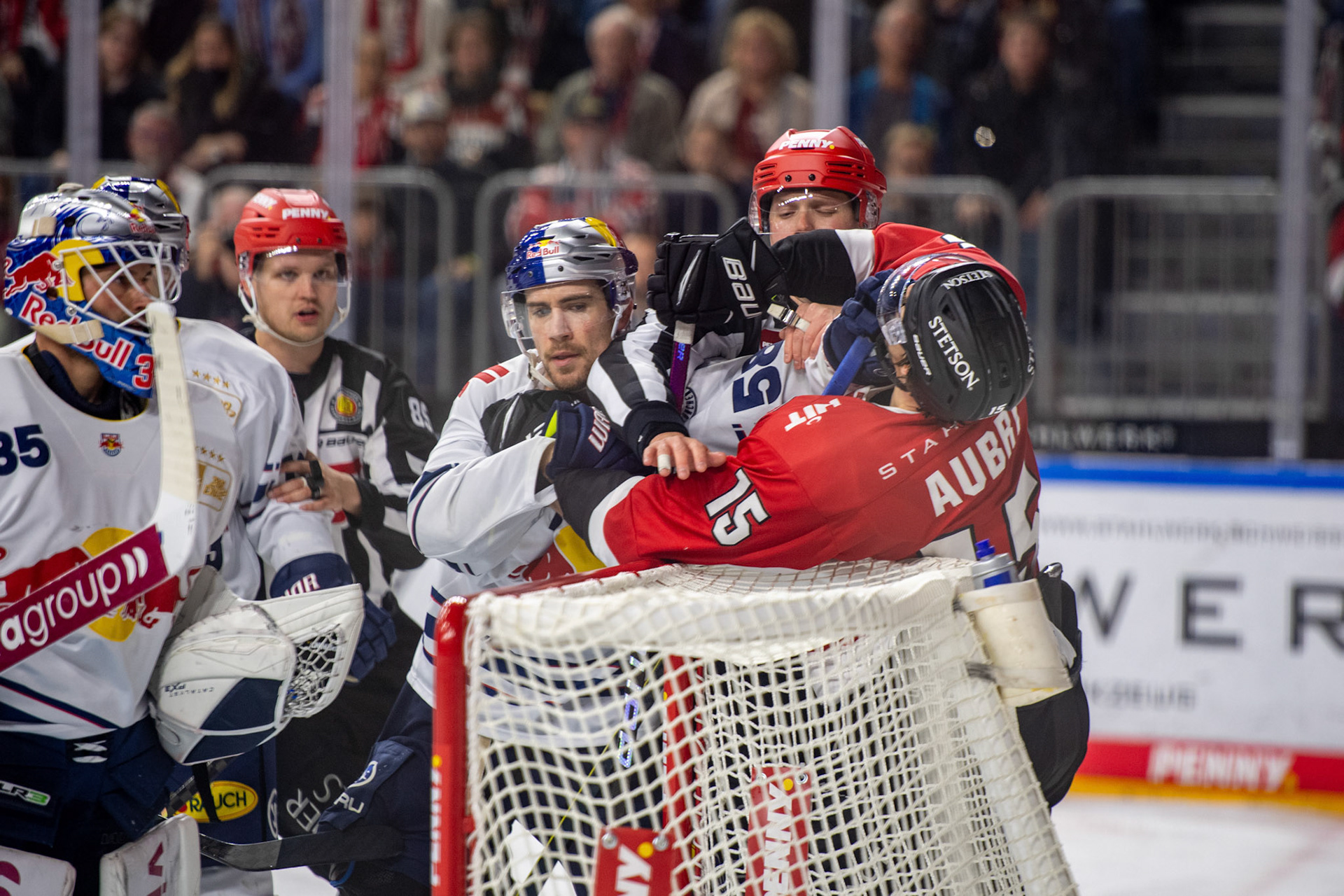 Louis Marc Aubry im Kampf; DEL Kölner Haie - EHC Red Bull München, 27.10.2023