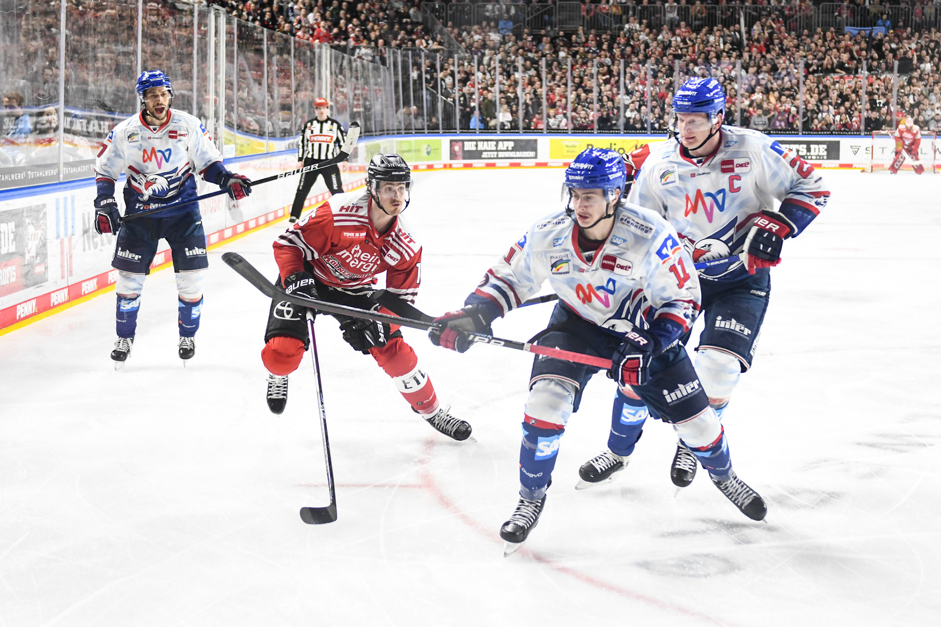 Taro Jentzsch; DEL Kölner Haie - Adler Mannheim, 17.03.2023