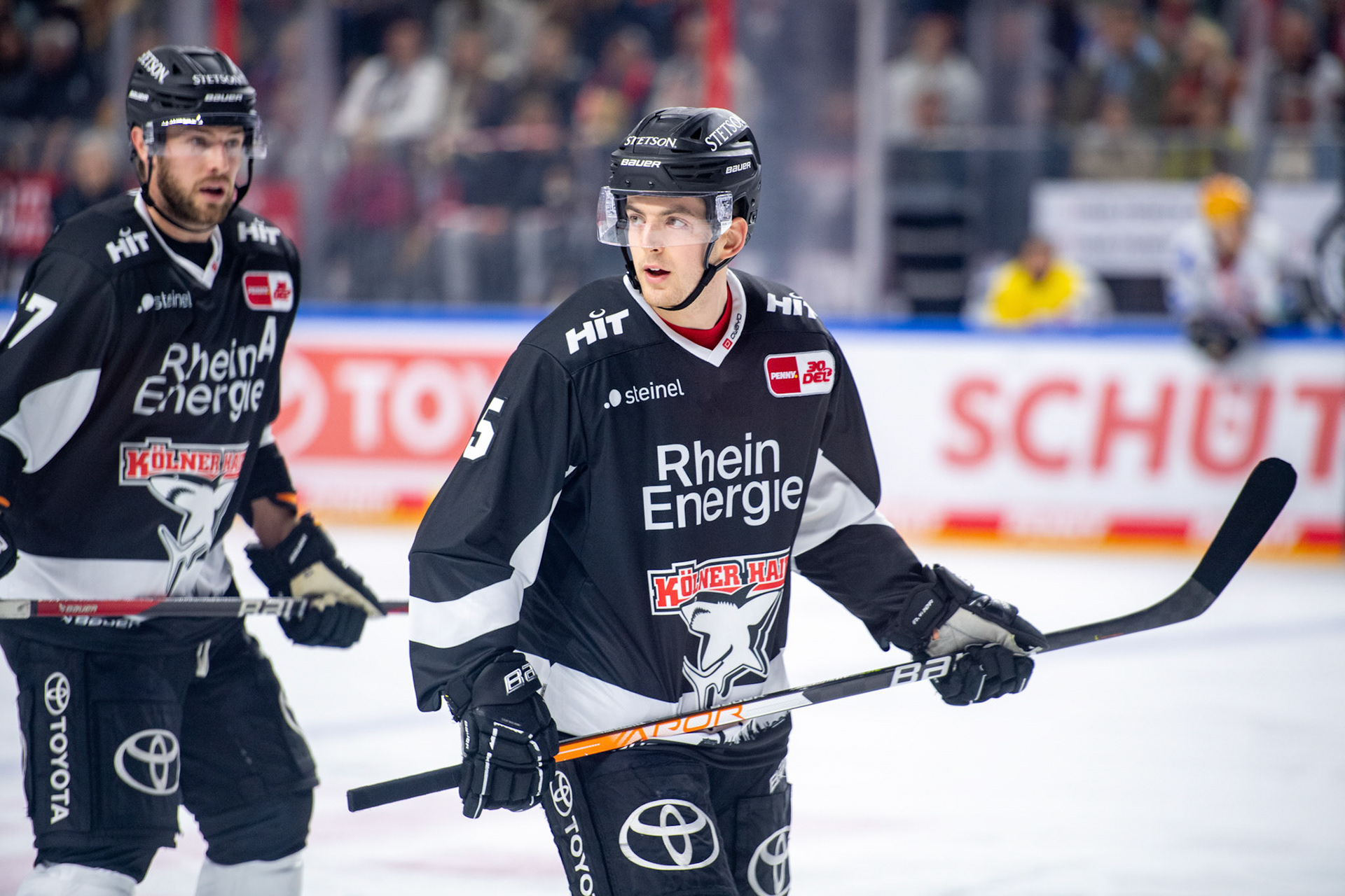 Robin van Calster; DEL Kölner Haie - Bremerhaven Fischtown Pinguins, 01.11.2023