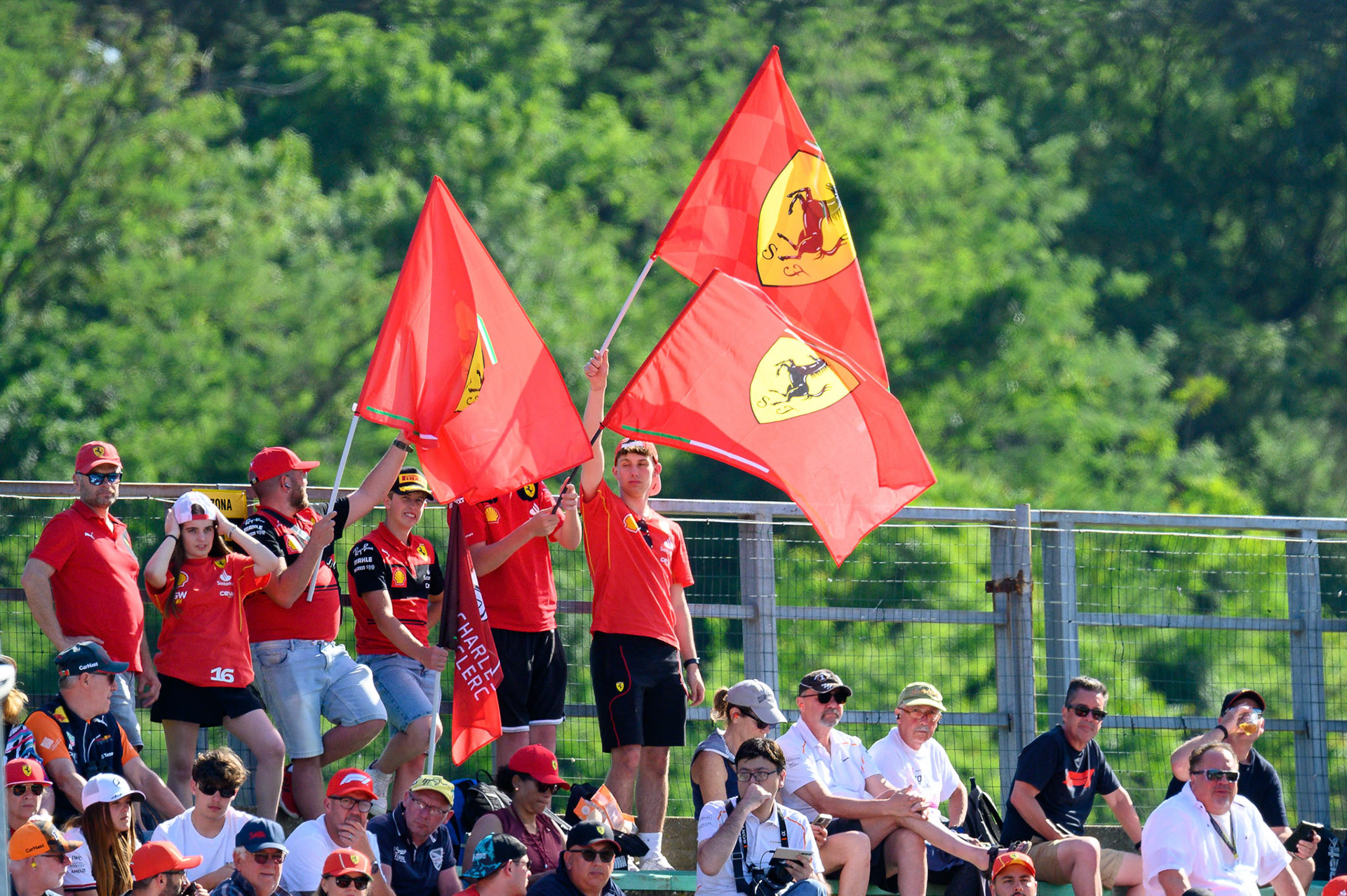 Tifosi; F1 GP Imola / Italien Samstag, 18.05.2024