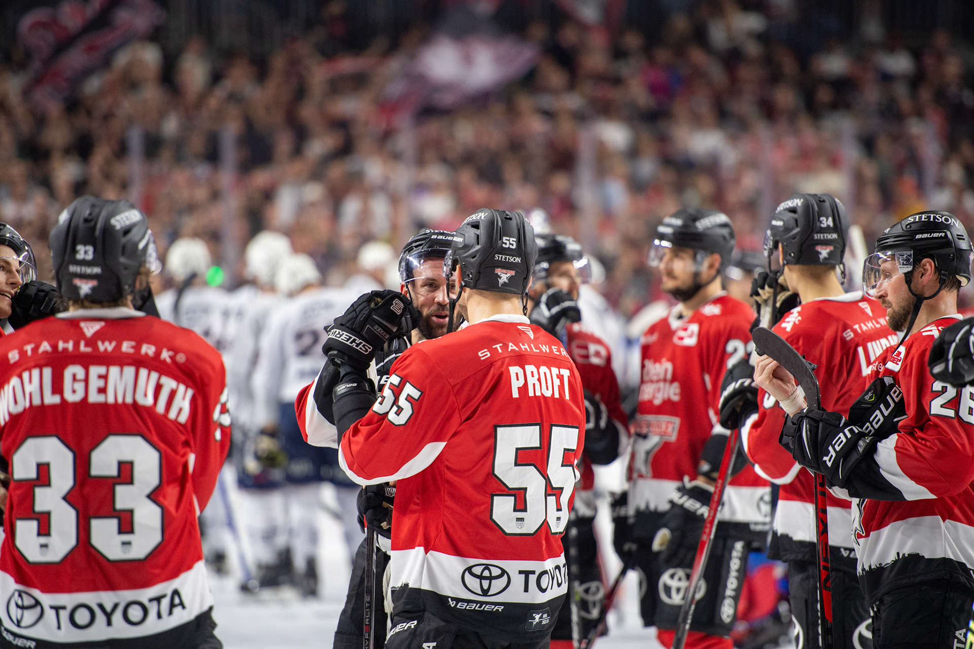 Koelner Haie; DEL Kölner Haie - Adler Mannheim, 30.09.2023