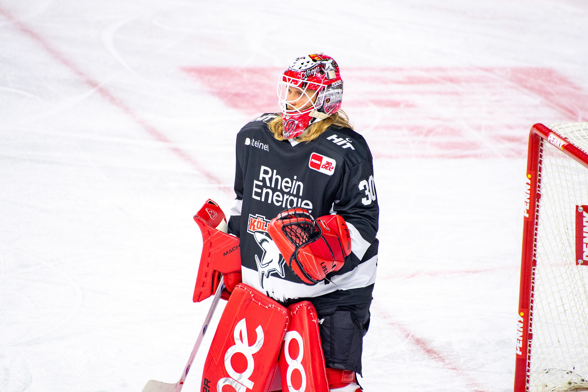 Mirko Pantkowski; DEL Kölner Haie - Bremerhaven Fischtown Pinguins, 01.11.2023
