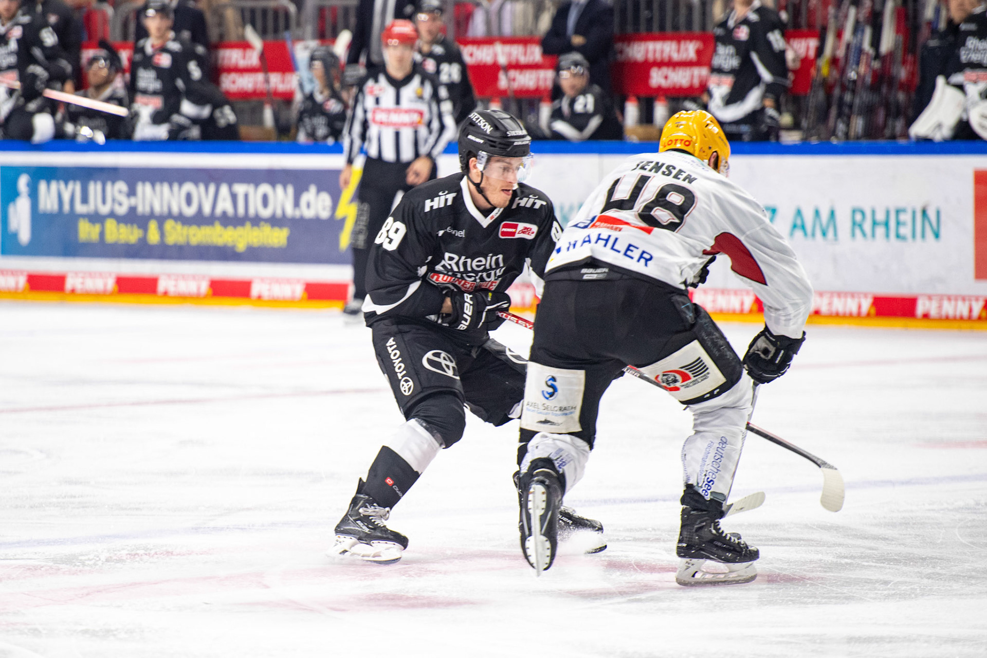 Gregor Macleod; DEL Kölner Haie - Bremerhaven Fischtown Pinguins, 01.11.2023