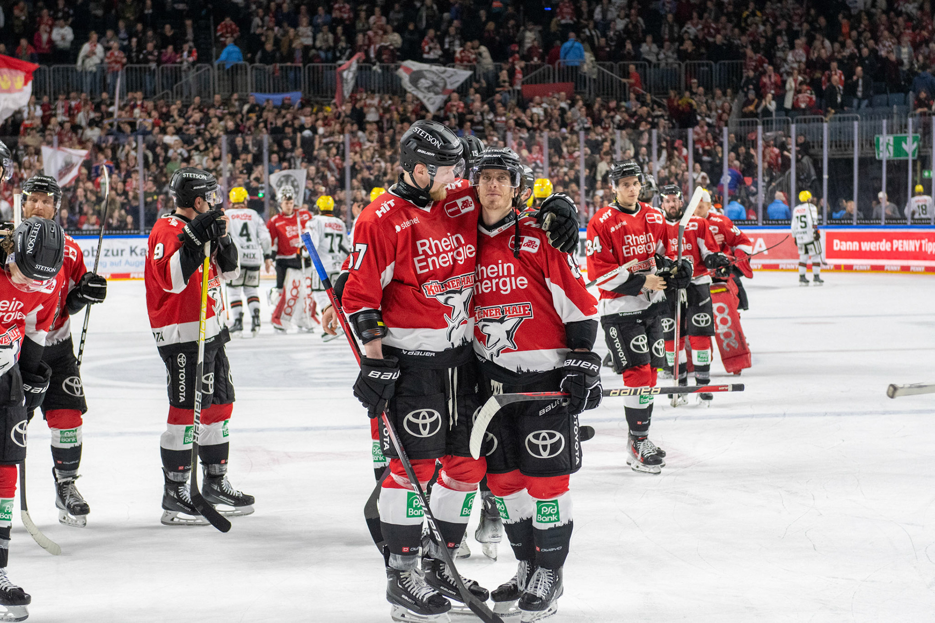 Stanislav Dietz feiert den Sieg über die Frankfurter Löwen zuammen mit Gregor Macleod; DEL Kölner Haie - Frankfurter Löwen, 16.02.2024