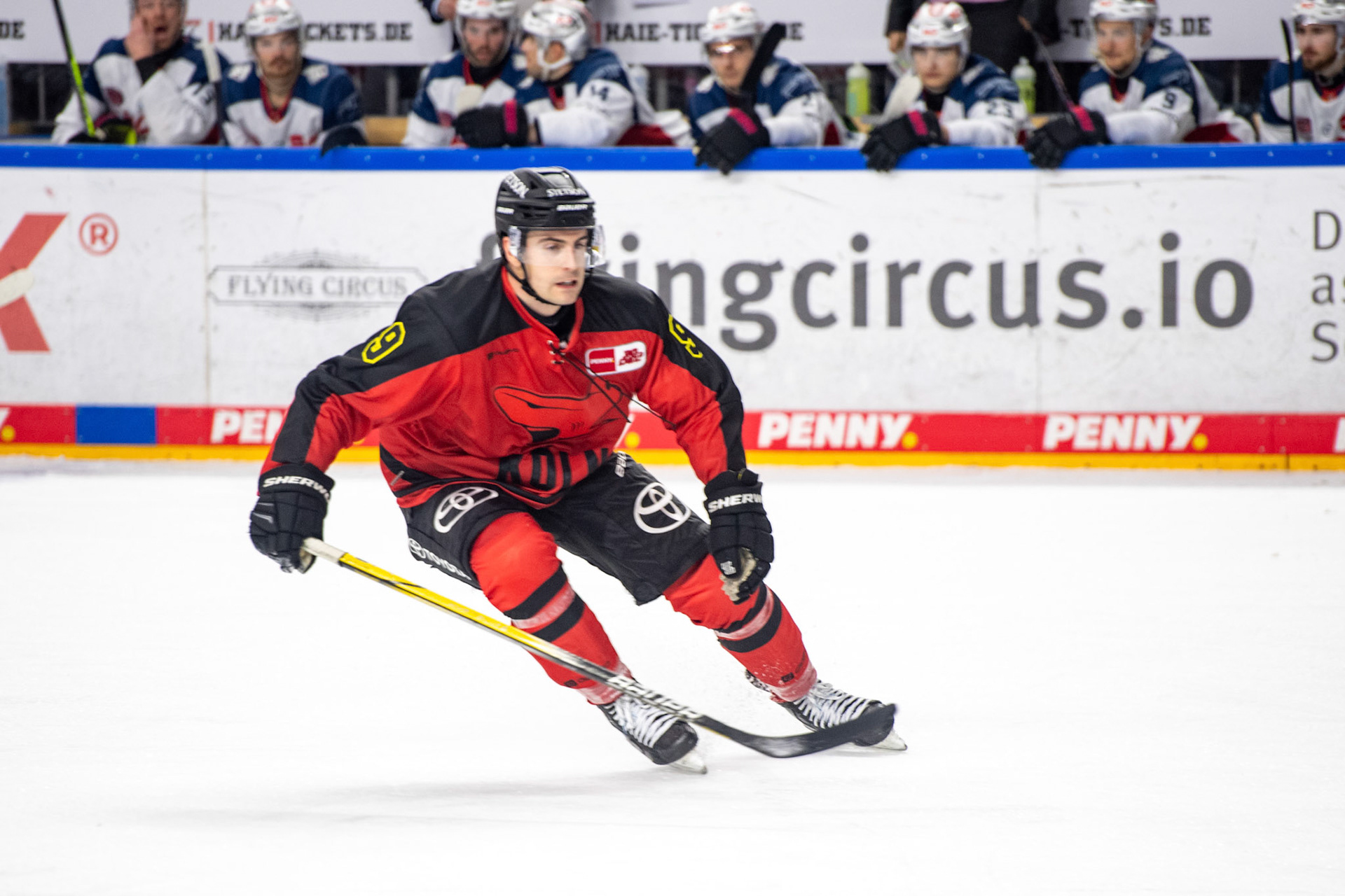 Maximilian Kammerer; DEL Kölner Haie - Nürnberg Ice Tigers, 17.12.2023