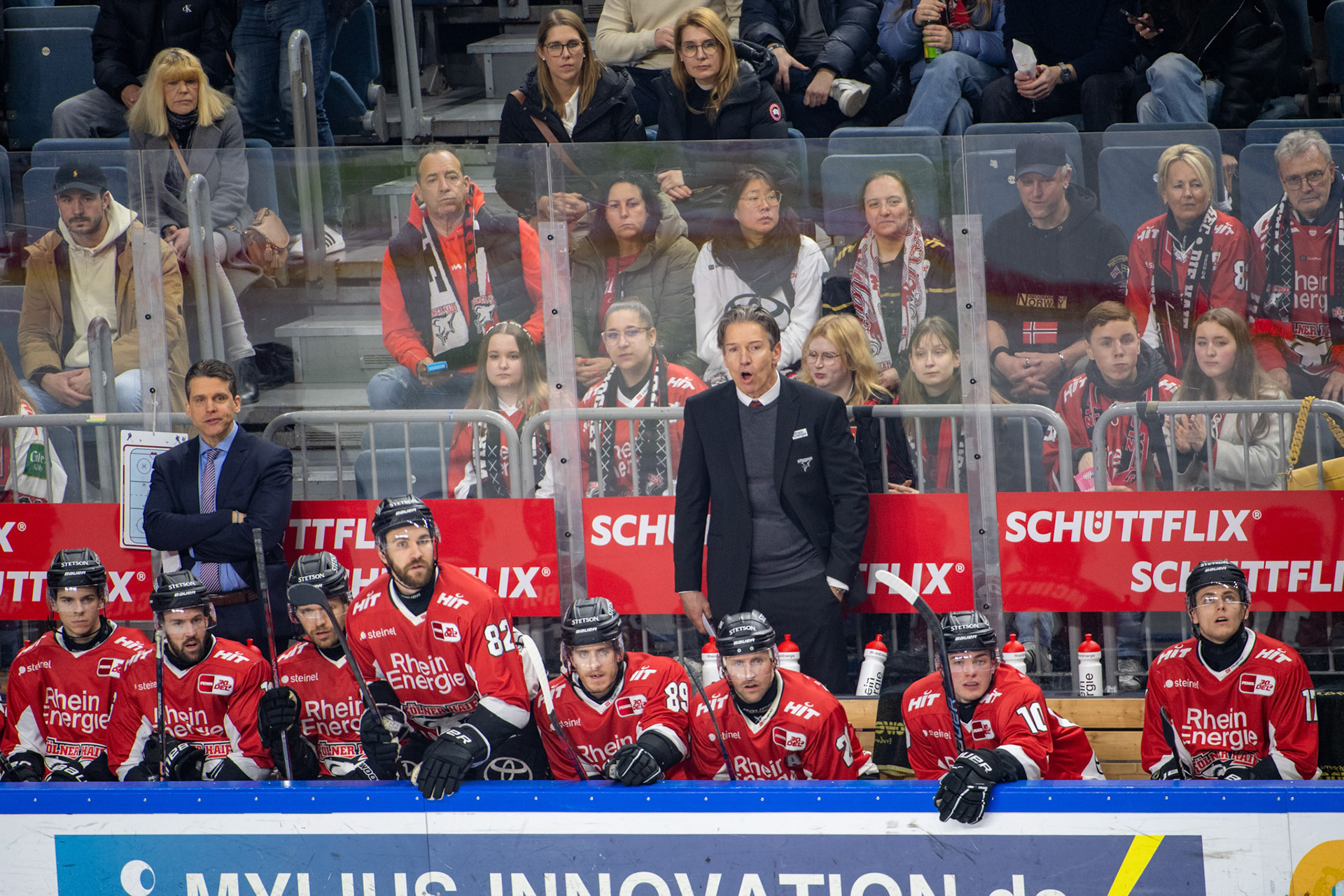 Uwe Krupp, Headcoach der Koelner Haie; DEL Kölner Haie - Fishtown Pinguins Bremerhaven, 30.01.2024