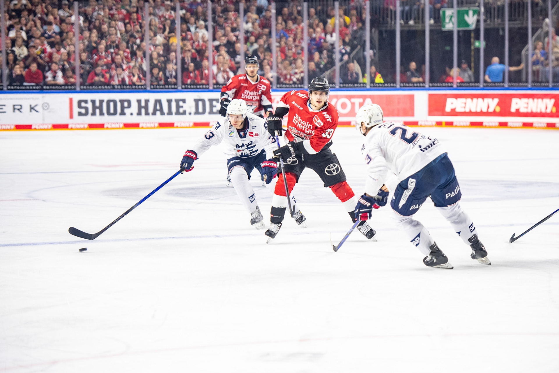 Tim Wohlgemuth; DEL Kölner Haie - Adler Mannheim, 30.09.2023