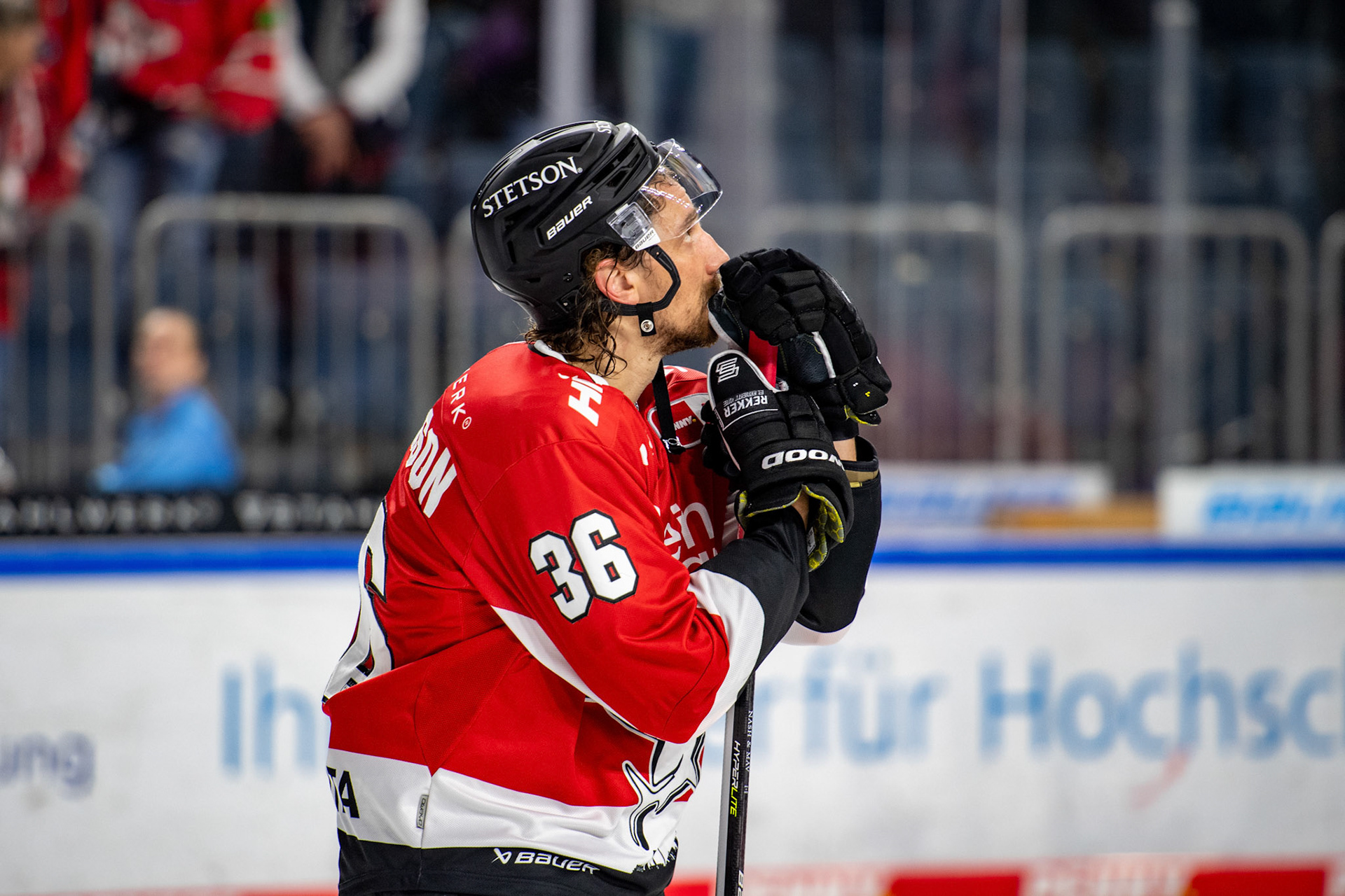 Andreas Thuresson; DEL Kölner Haie - Adler Mannheim, 30.09.2023