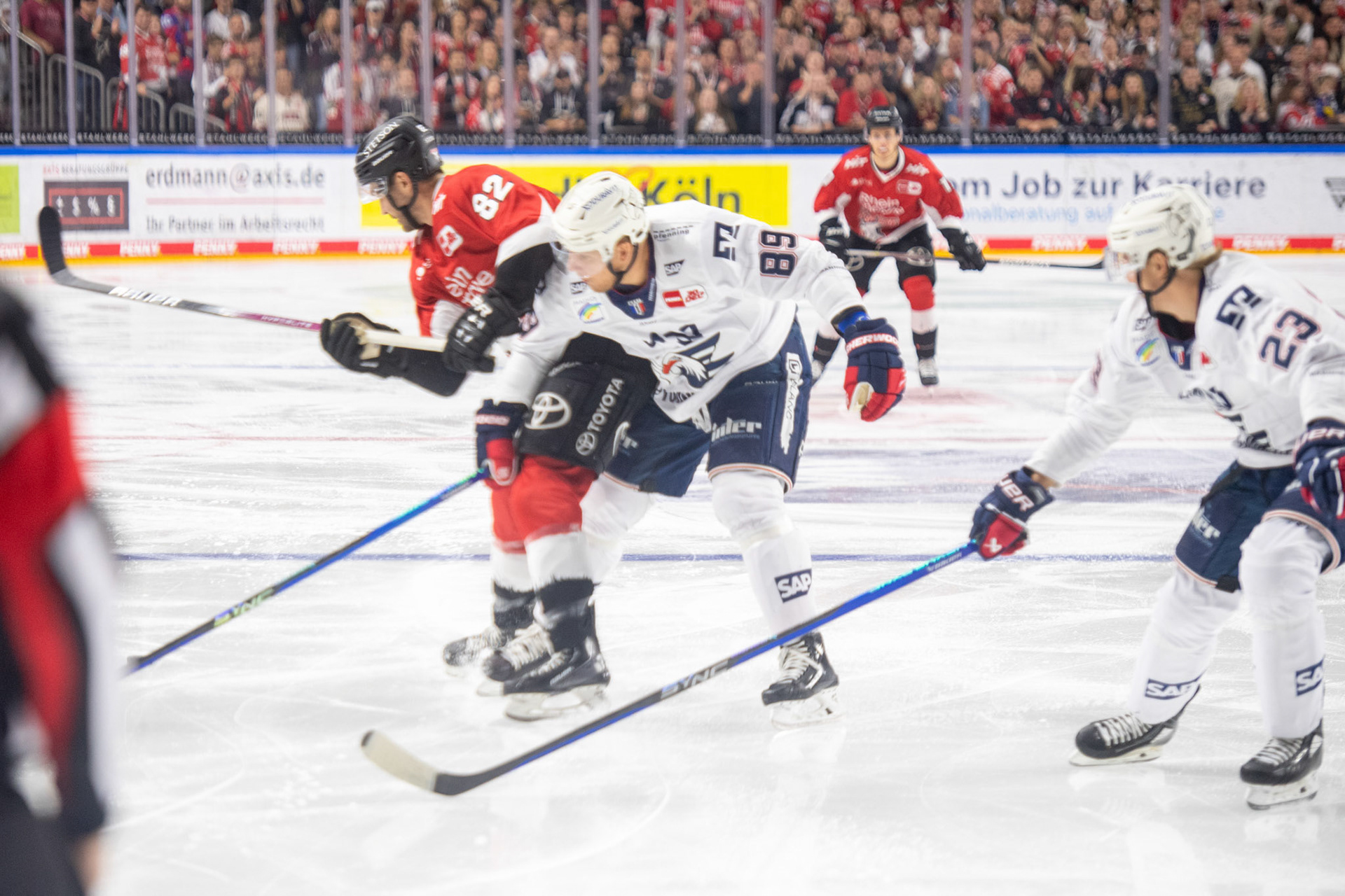 Alexandre Grenter, David Wolf; DEL Kölner Haie - Adler Mannheim, 30.09.2023