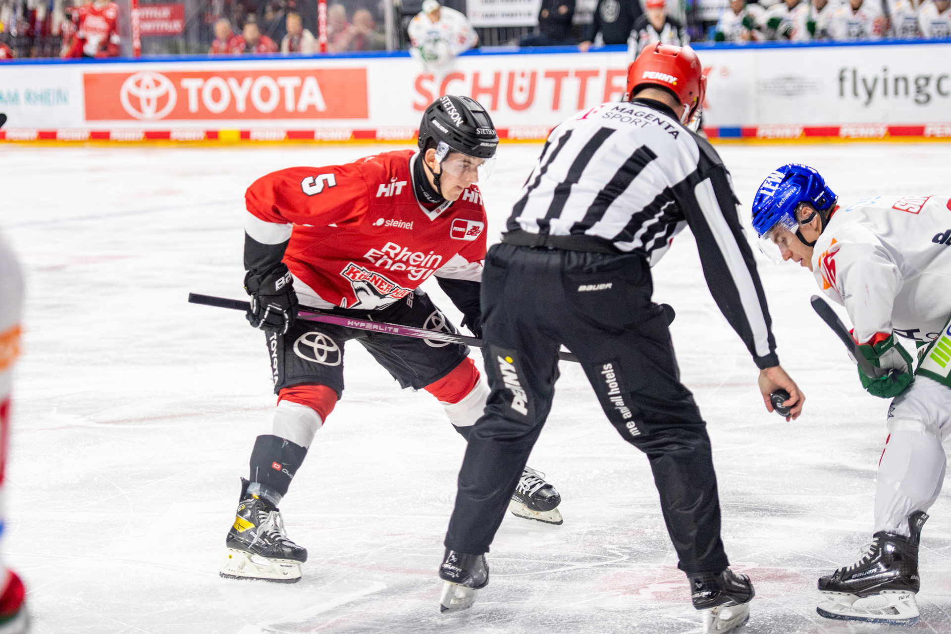 Robin van Calster; DEL Kölner Haie - Augsburger Panther, 19.11.2023