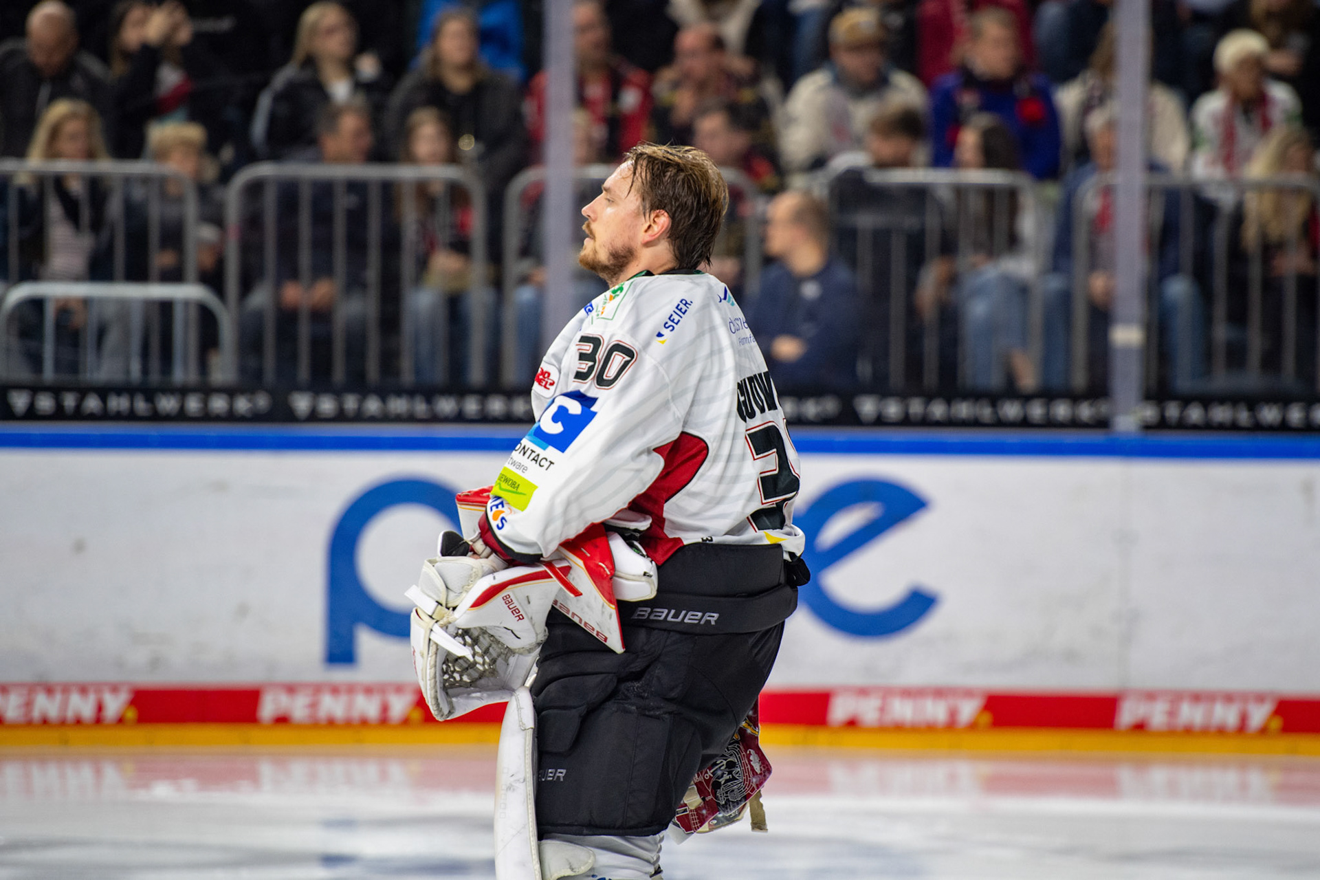 Kristers Gudlevskis; DEL Kölner Haie - Bremerhaven Fischtown Pinguins, 01.11.2023