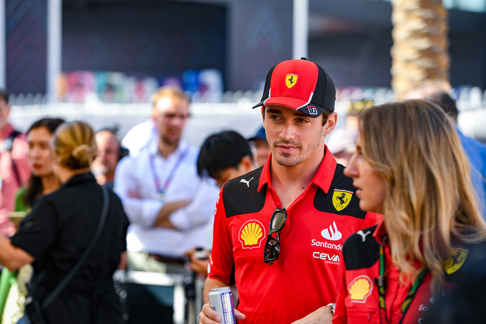 Charles Leclerc (MCO) Scuderia Ferrari;Formel 1 GP Abu Dhabi. Donnerstag 23.11.2023