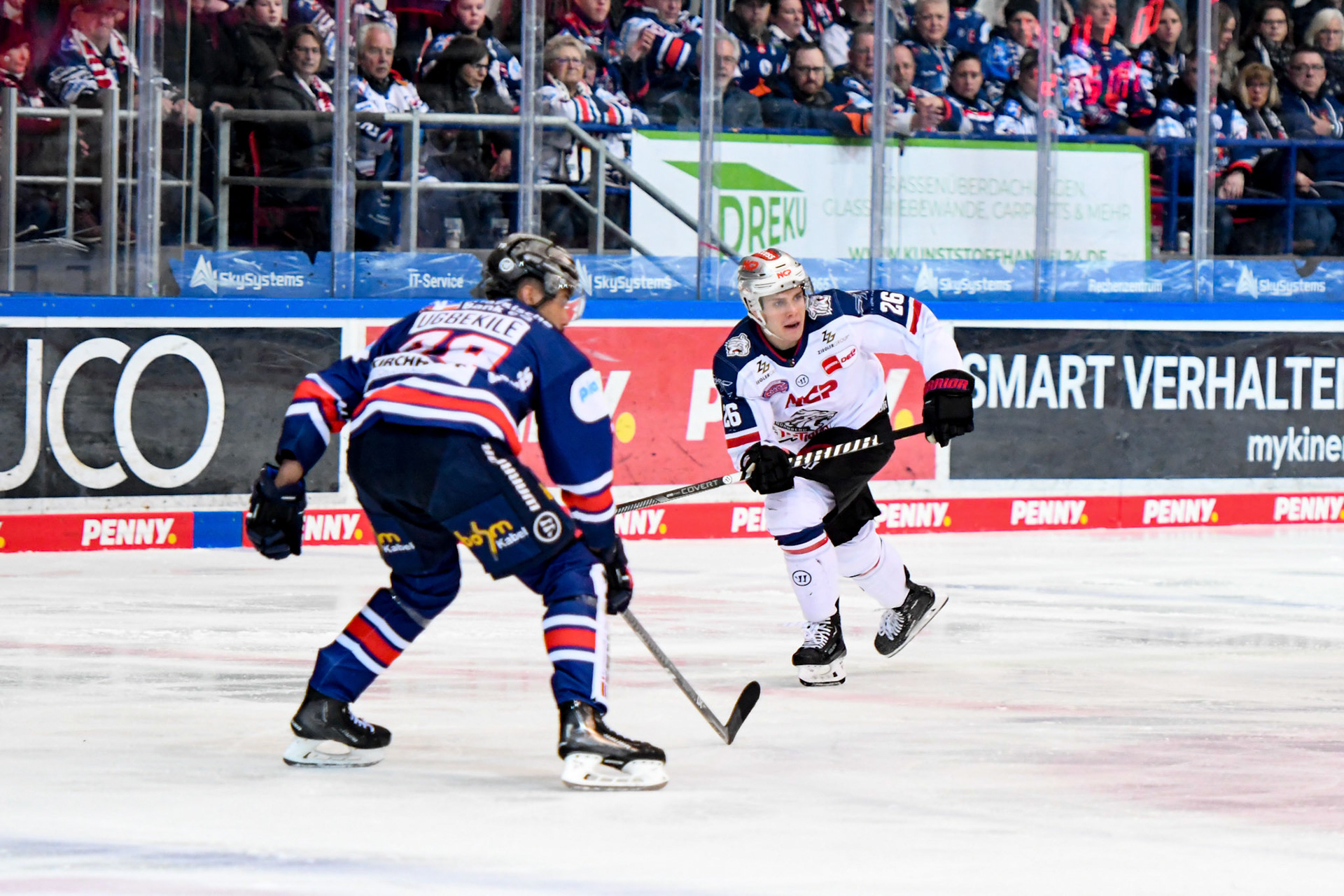 Dennis Lobach 26; DEL Iserlohn Roosters - Nuernberg Ice Tigers 17.02.2023