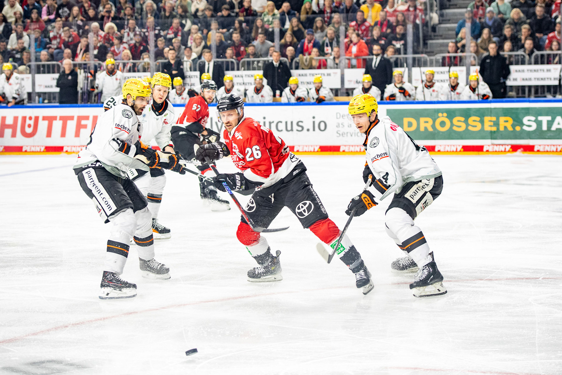David Mcintyre, Reis McNeill; DEL Kölner Haie - Frankfurter Löwen, 16.02.2024