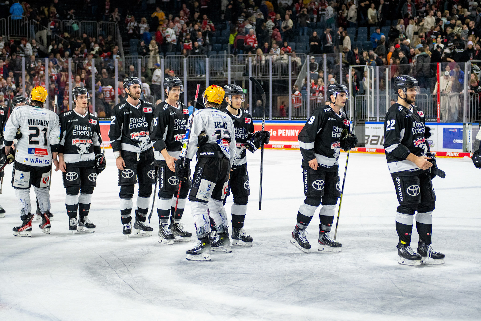 Koelner Haie; DEL Kölner Haie - Bremerhaven Fischtown Pinguins, 01.11.2023