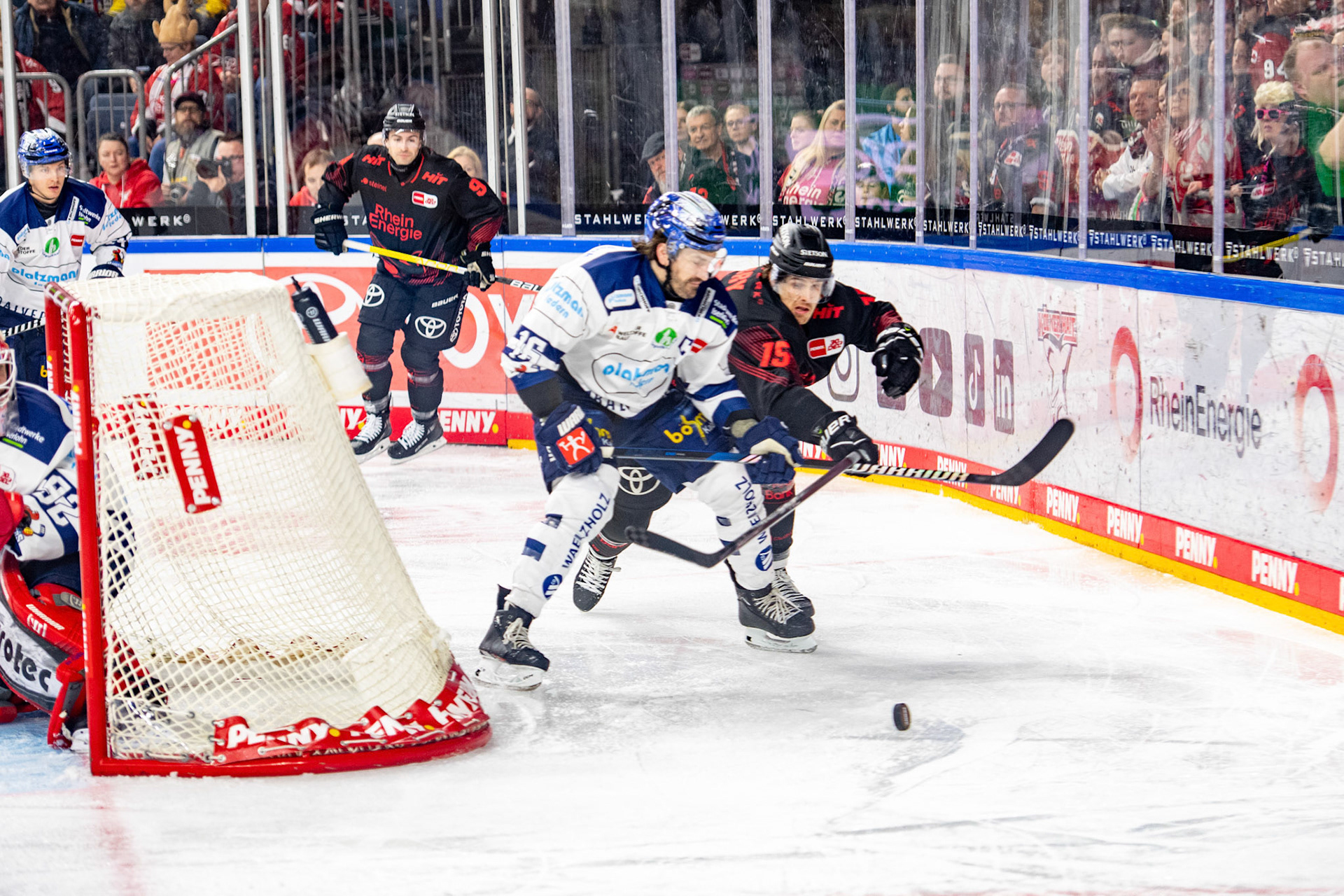Louis Marc Aubry im Zweikampf mit Hubert Labrie; DEL Kölner Haie - Iserlohn Roosters, 13.02.2024
