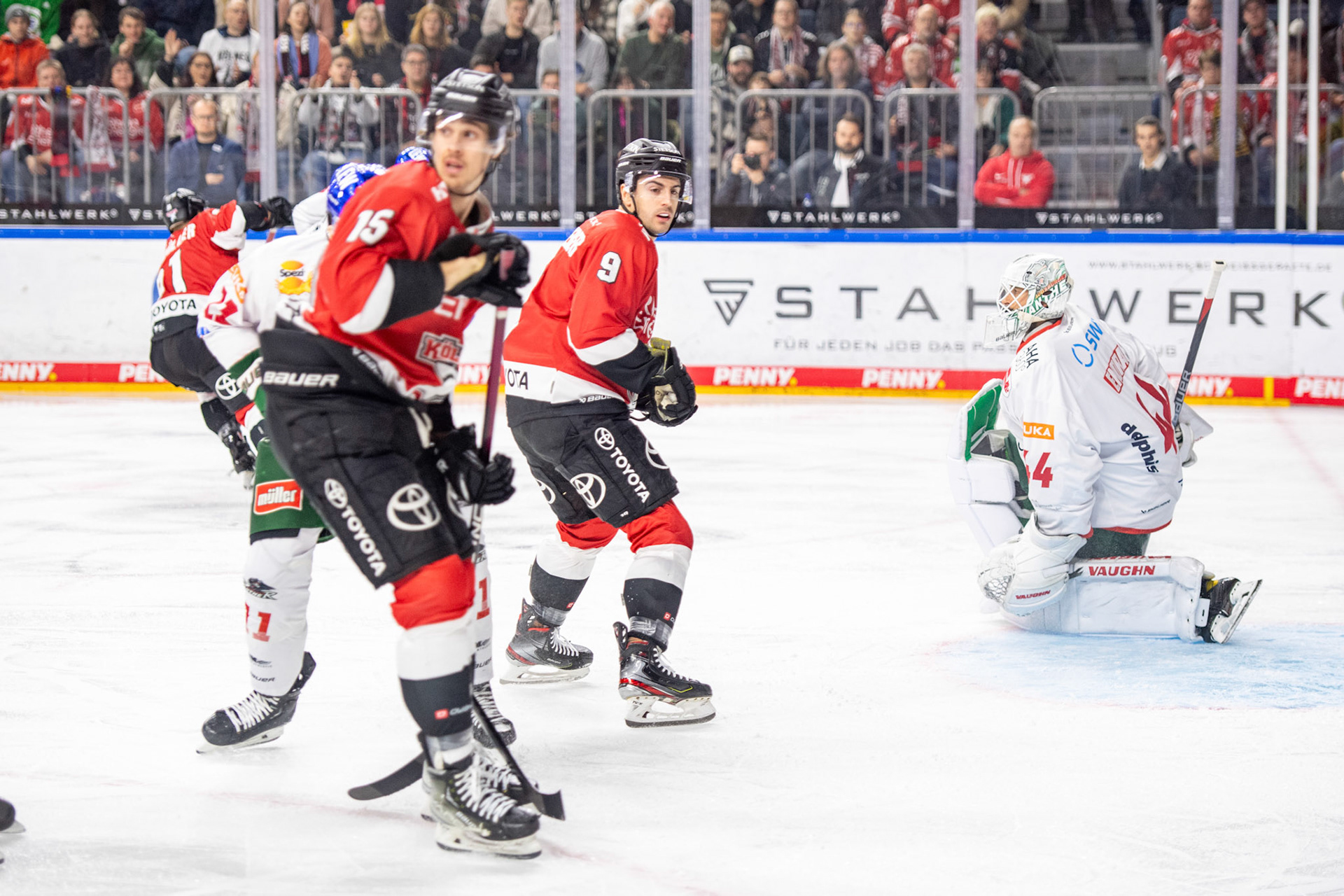 Maximilian Kammerer; DEL Kölner Haie - Augsburger Panther, 19.11.2023