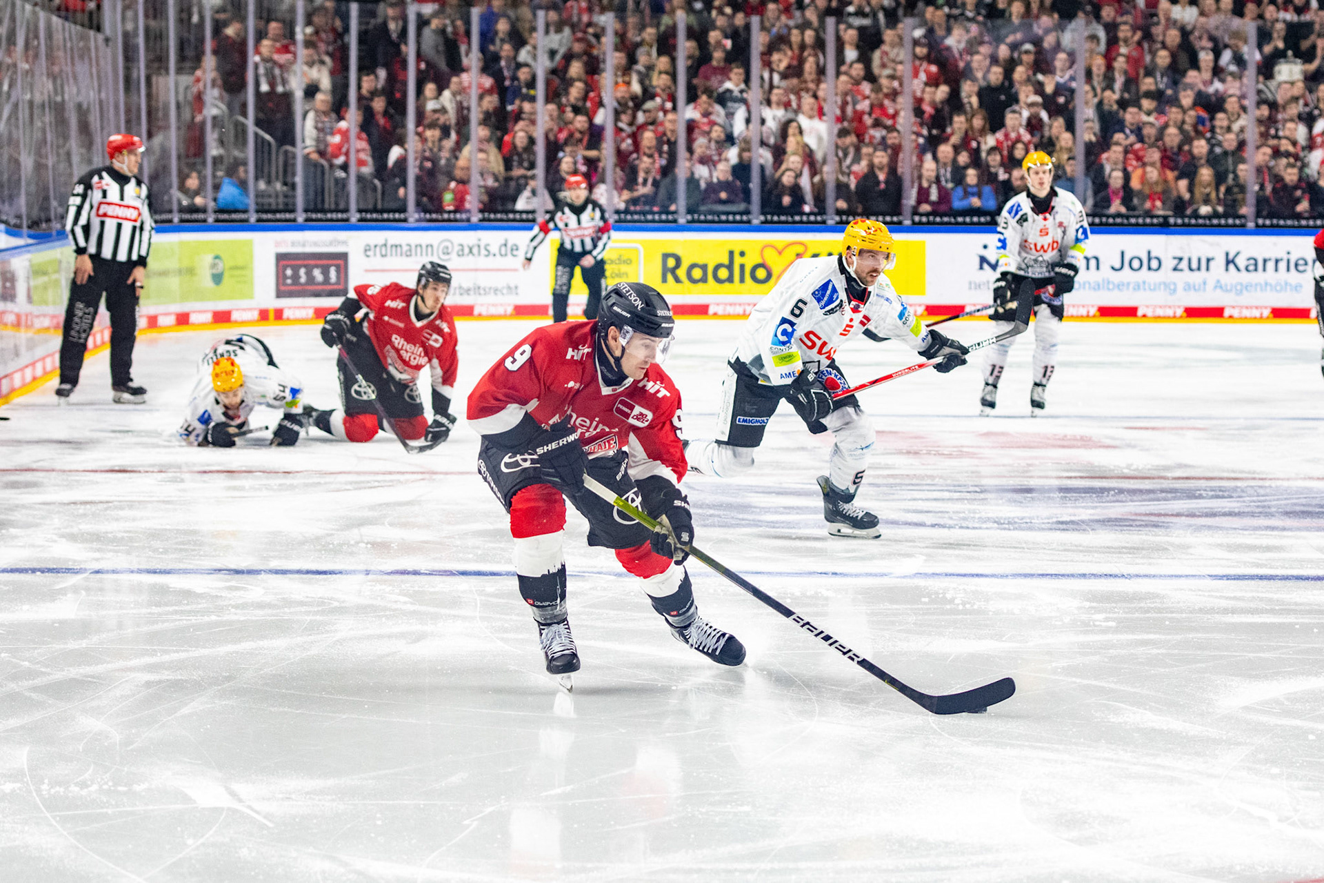 Maximilian Kammerer, Anders Groenlund; DEL Kölner Haie - Fishtown Pinguins Bremerhaven, 30.01.2024