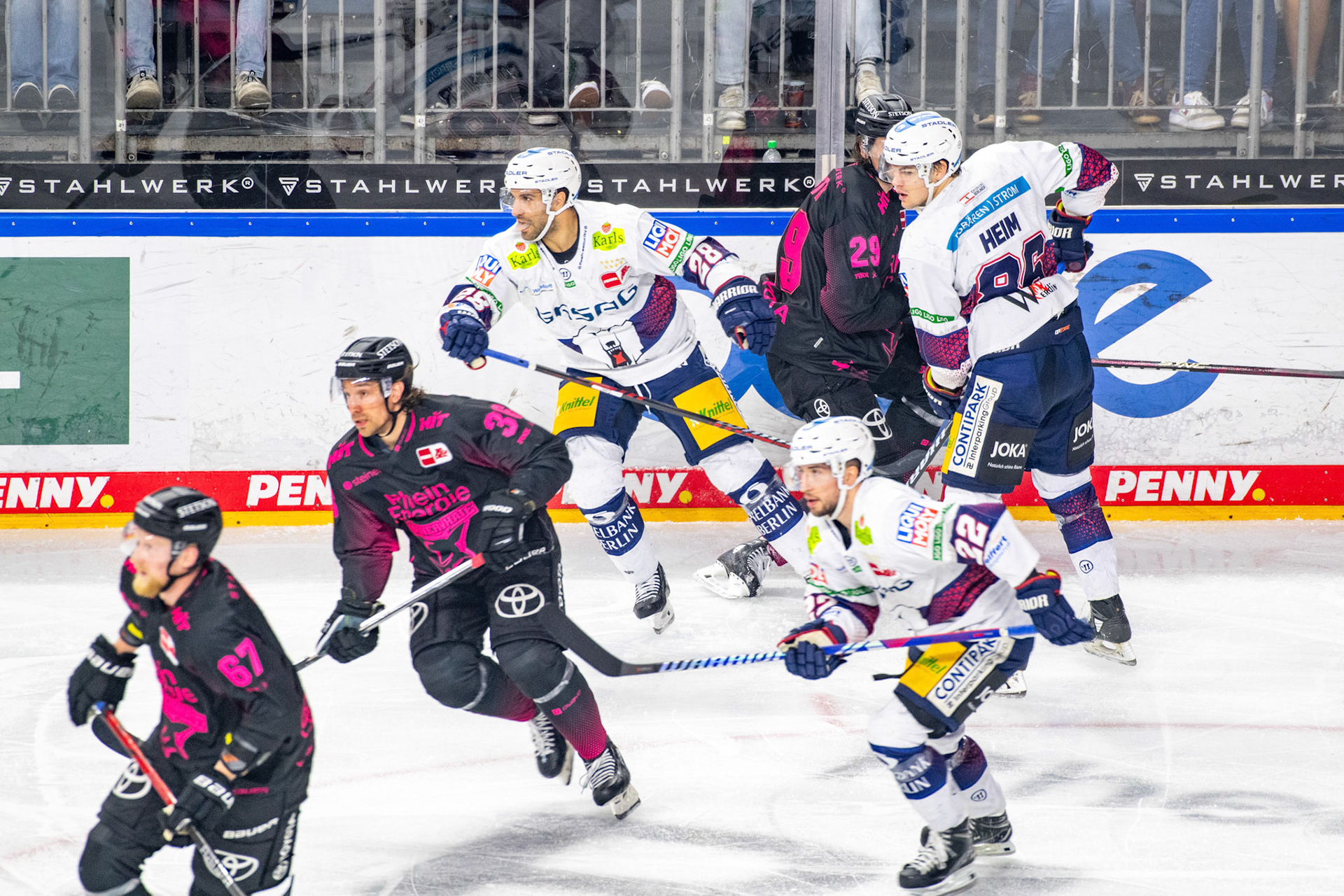 Koelner Haie, Eisbaeren Berlin; DEL Kölner Haie - Eisbaeren Berlin, 06.10.2023