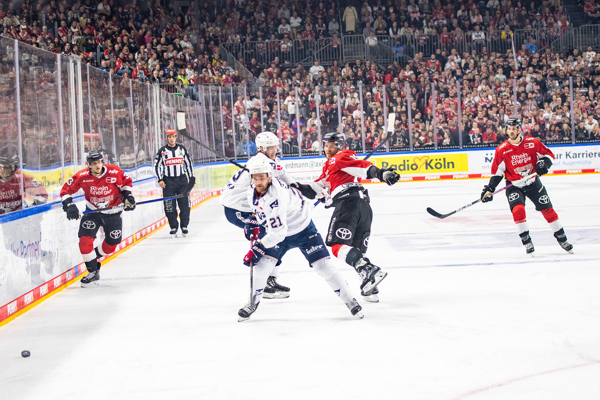 Kais Bennett; DEL Kölner Haie - Adler Mannheim, 30.09.2023