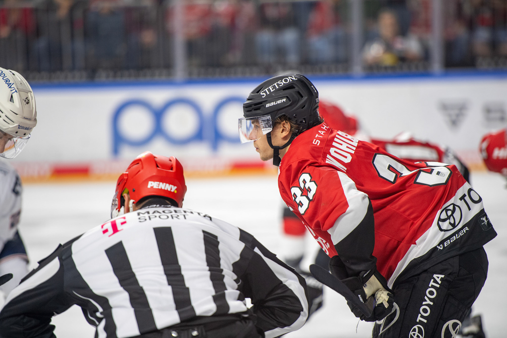 Tim Wohlgemuth; DEL Kölner Haie - Adler Mannheim, 30.09.2023
