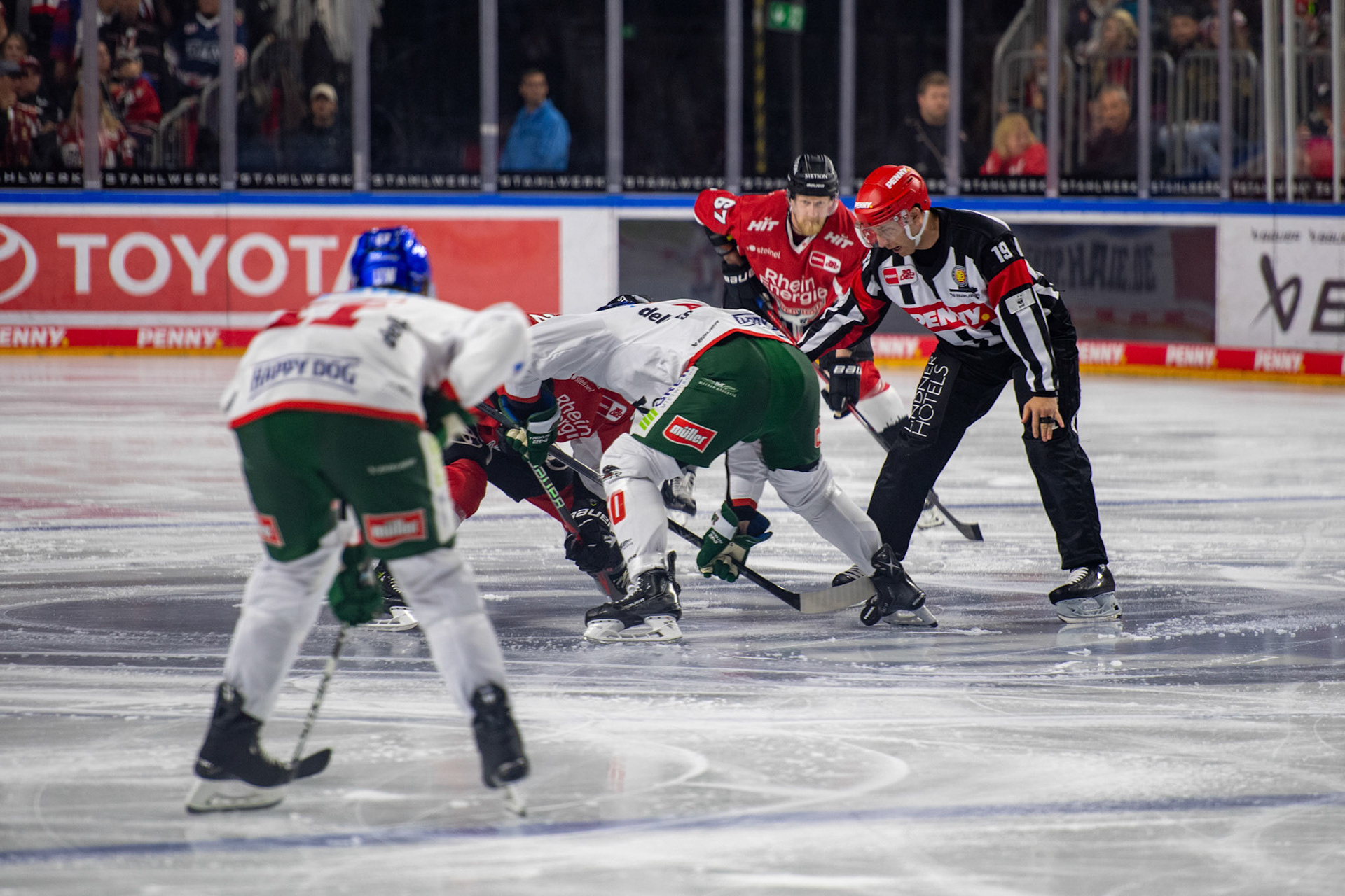 Augsburger Panther; DEL Kölner Haie - Augsburger Panther, 03.10.2023