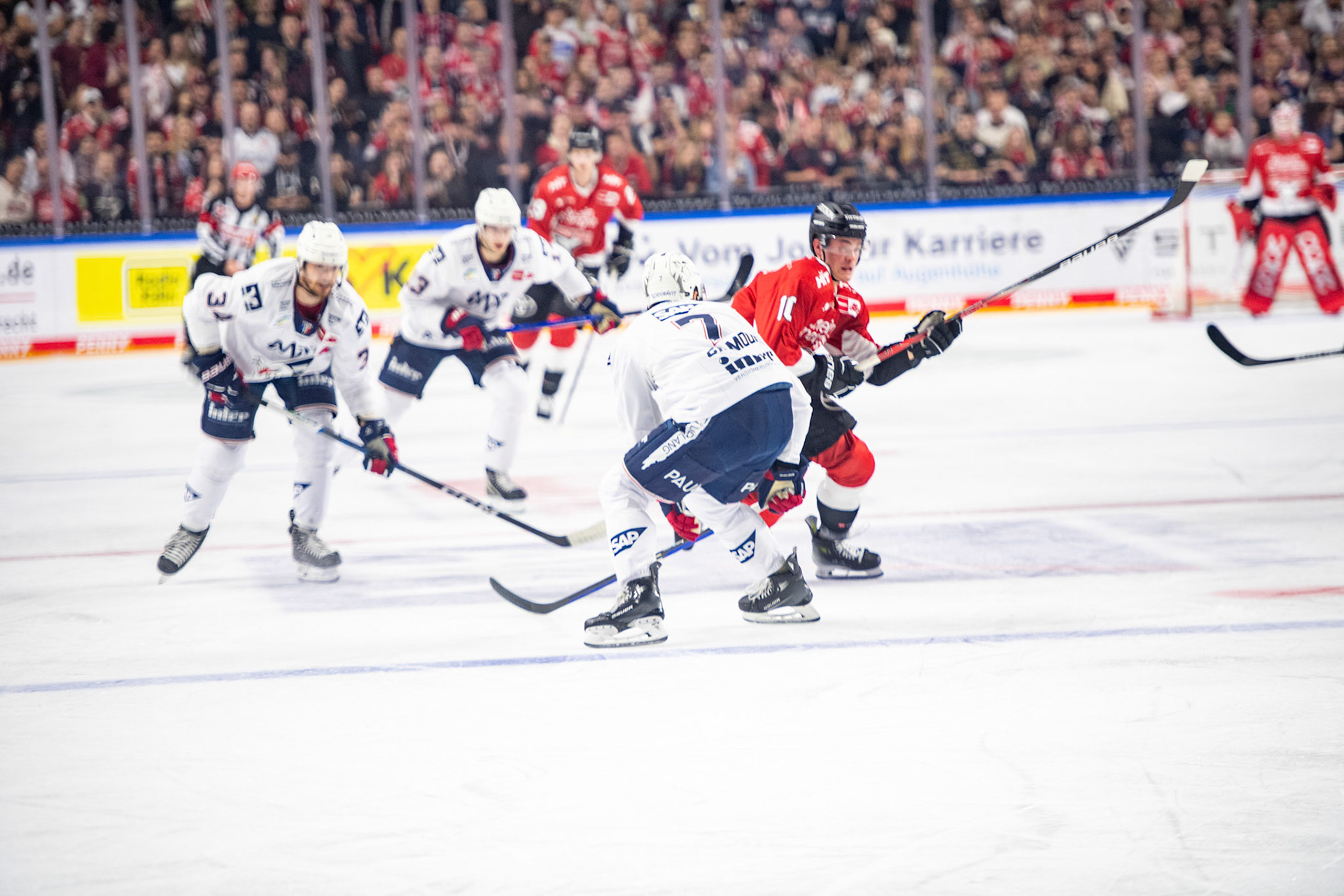 John Gilmour und Justin Schuetz; DEL Kölner Haie - Adler Mannheim, 30.09.2023