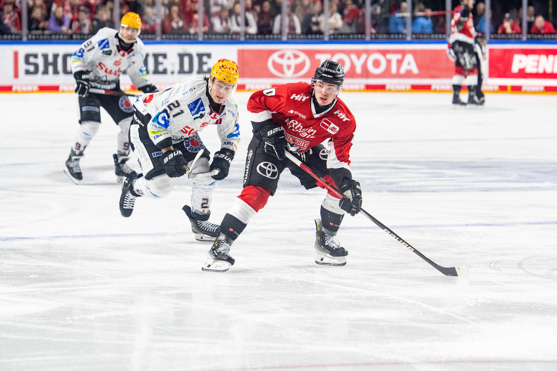 Justin Schuetz, Jake Virtanen; DEL Kölner Haie - Fishtown Pinguins Bremerhaven, 30.01.2024