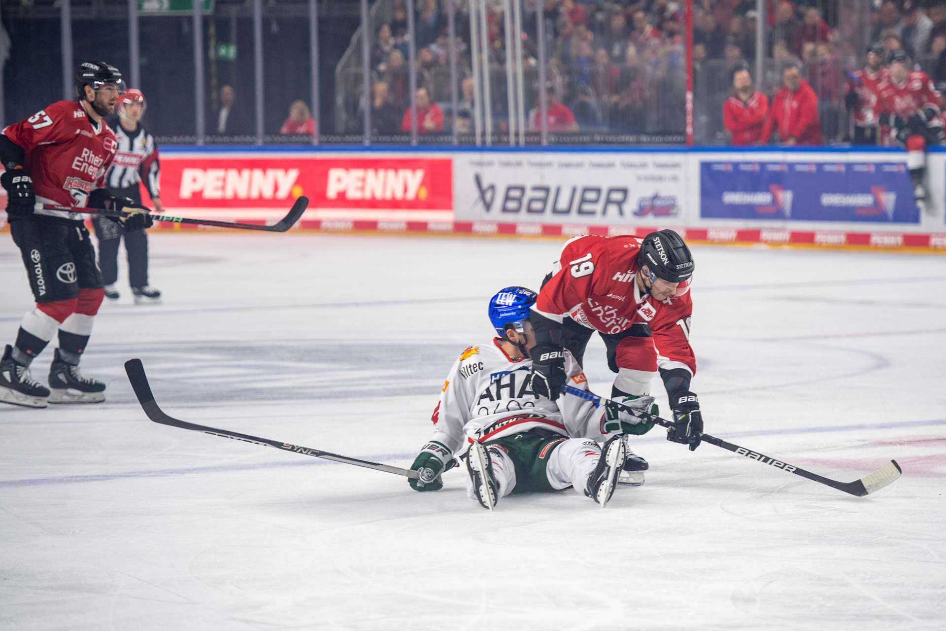 Frederik Storm; DEL Kölner Haie - Augsburger Panther, 03.10.2023