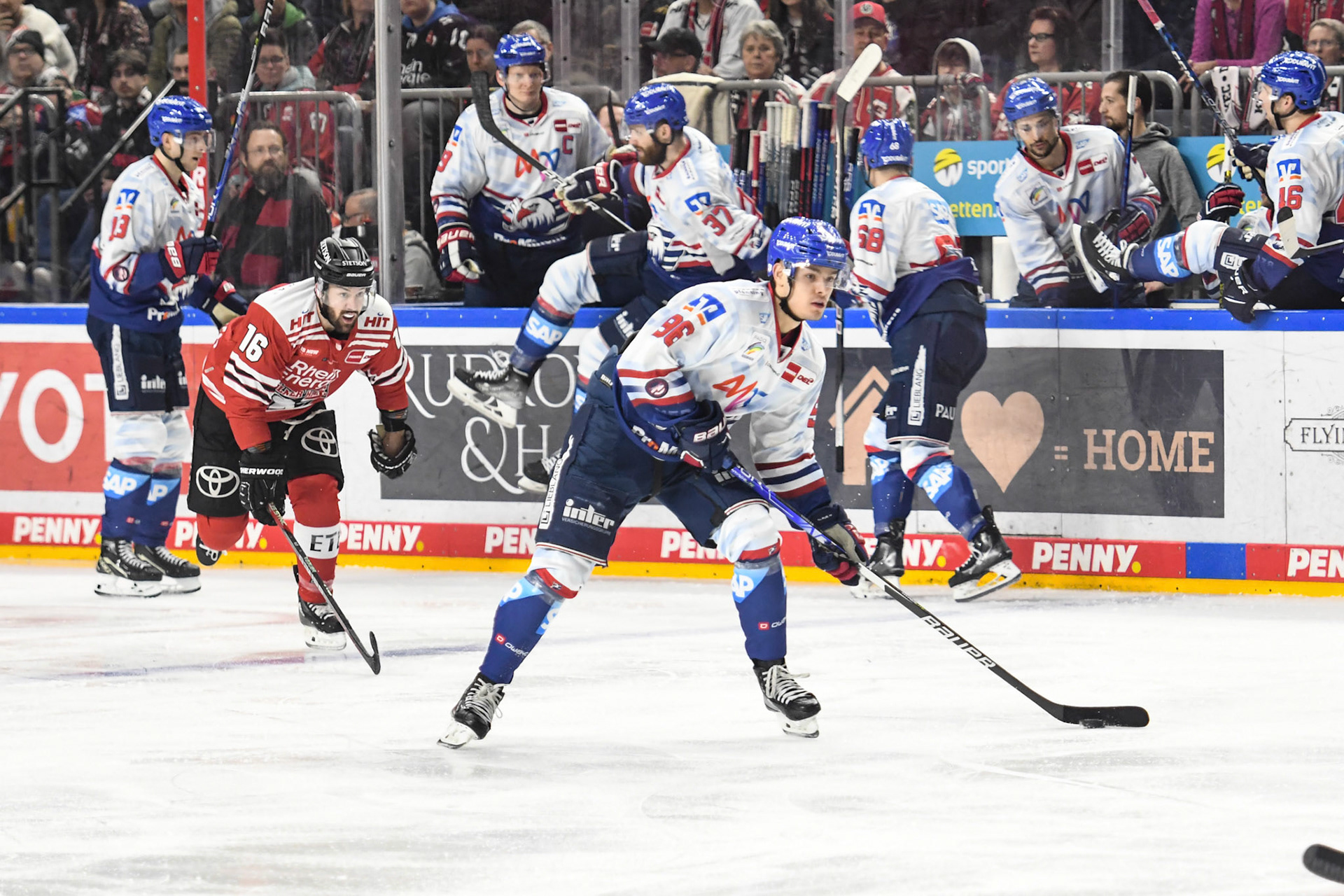 Simon Thiel; DEL Kölner Haie - Adler Mannheim, 17.03.2023