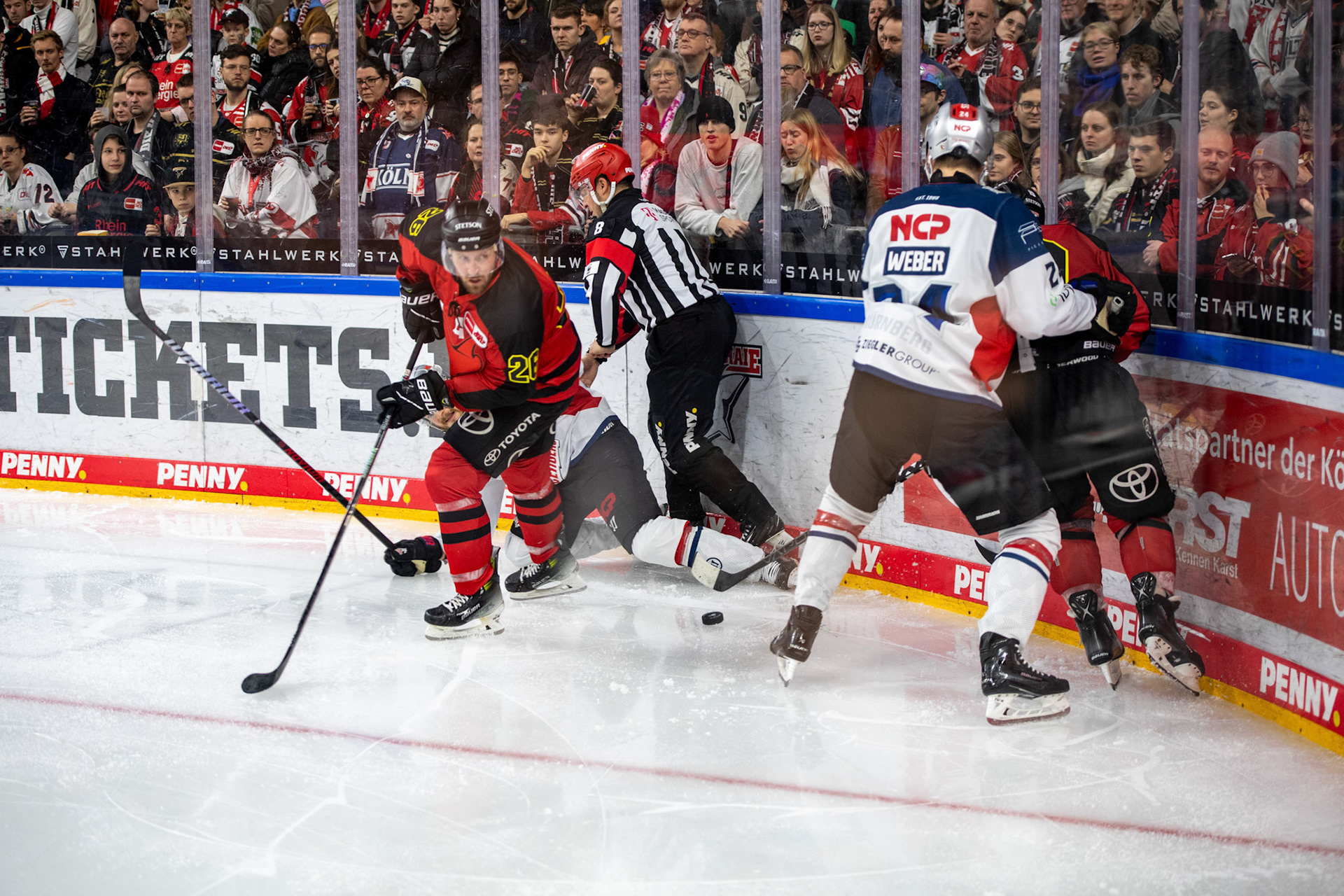 David Mcintyre; DEL Kölner Haie - Nürnberg Ice Tigers, 17.12.2023