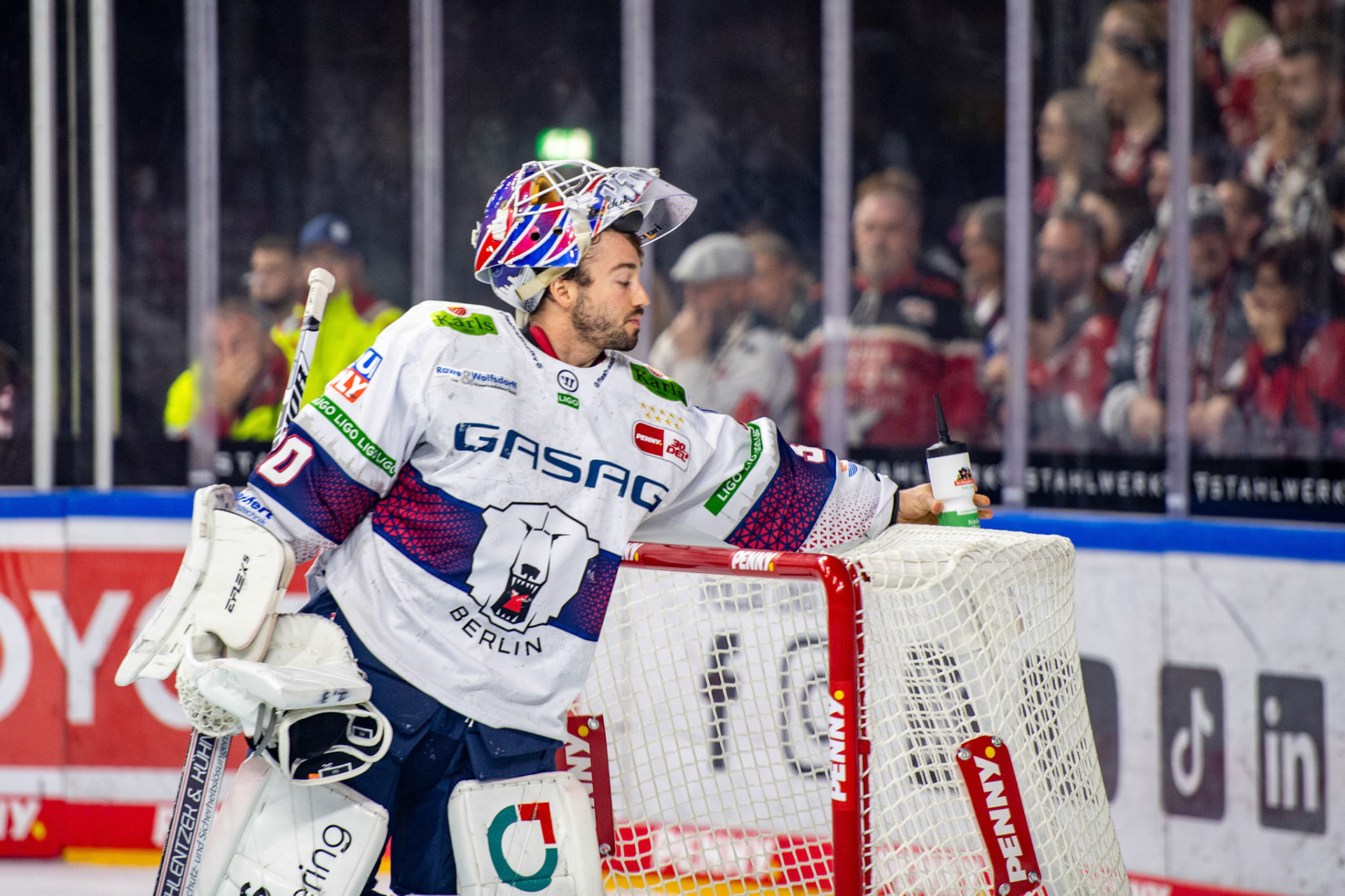 Jake Hildebrad; DEL Kölner Haie - Eisbaeren Berlin, 06.10.2023