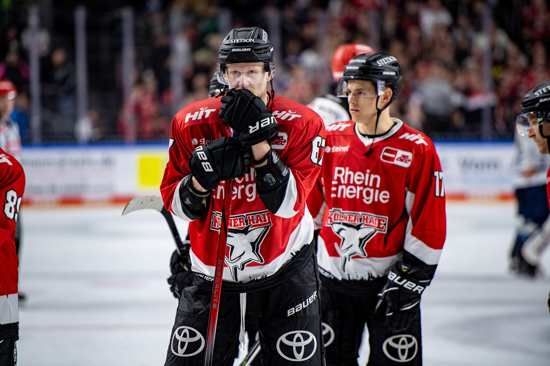 Stanislav Dietz; DEL Kölner Haie - EHC Red Bull München, 27.10.2023