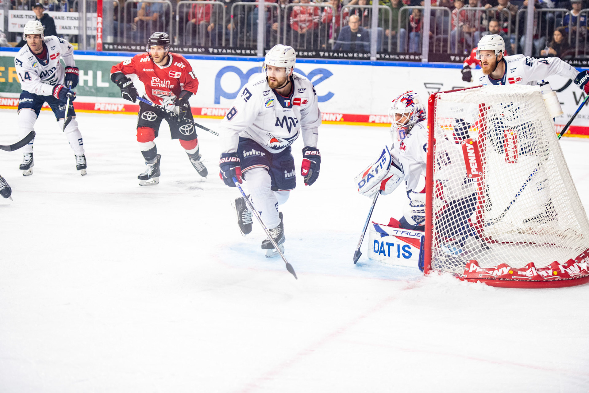 Jordan Murray; DEL Kölner Haie - Adler Mannheim, 30.09.2023