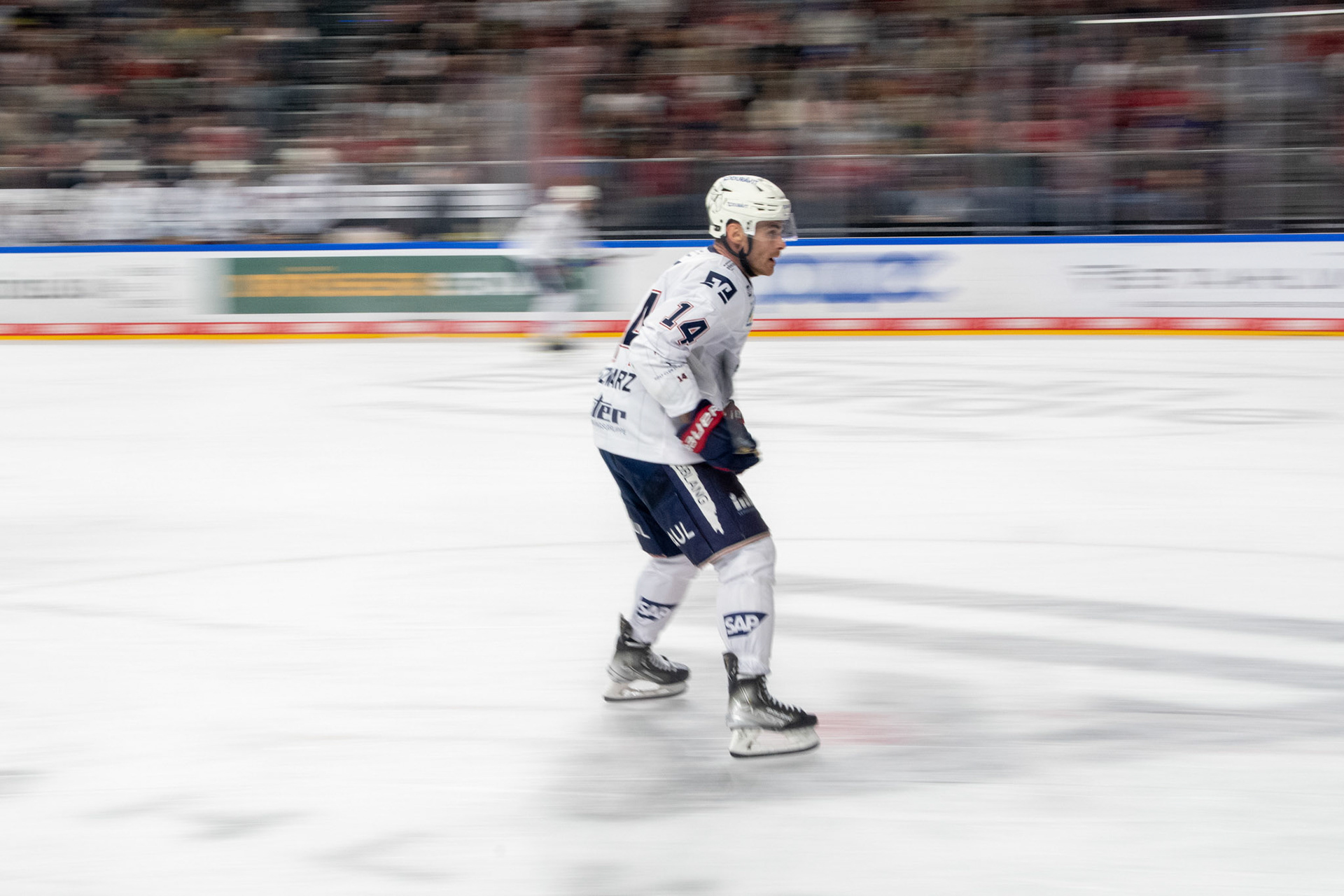 Jordan Szwarz; DEL Kölner Haie - Adler Mannheim, 30.09.2023
