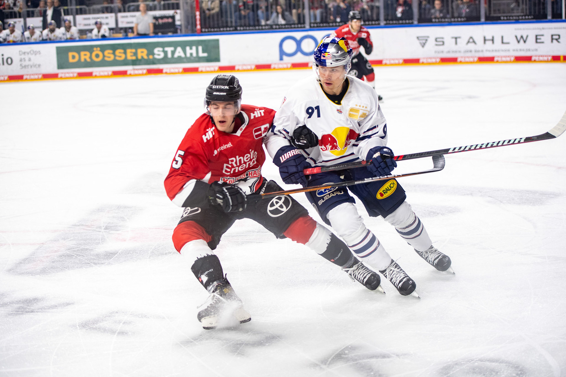 Robin van Calster und Filip Varejcka; DEL Kölner Haie - EHC Red Bull München, 27.10.2023