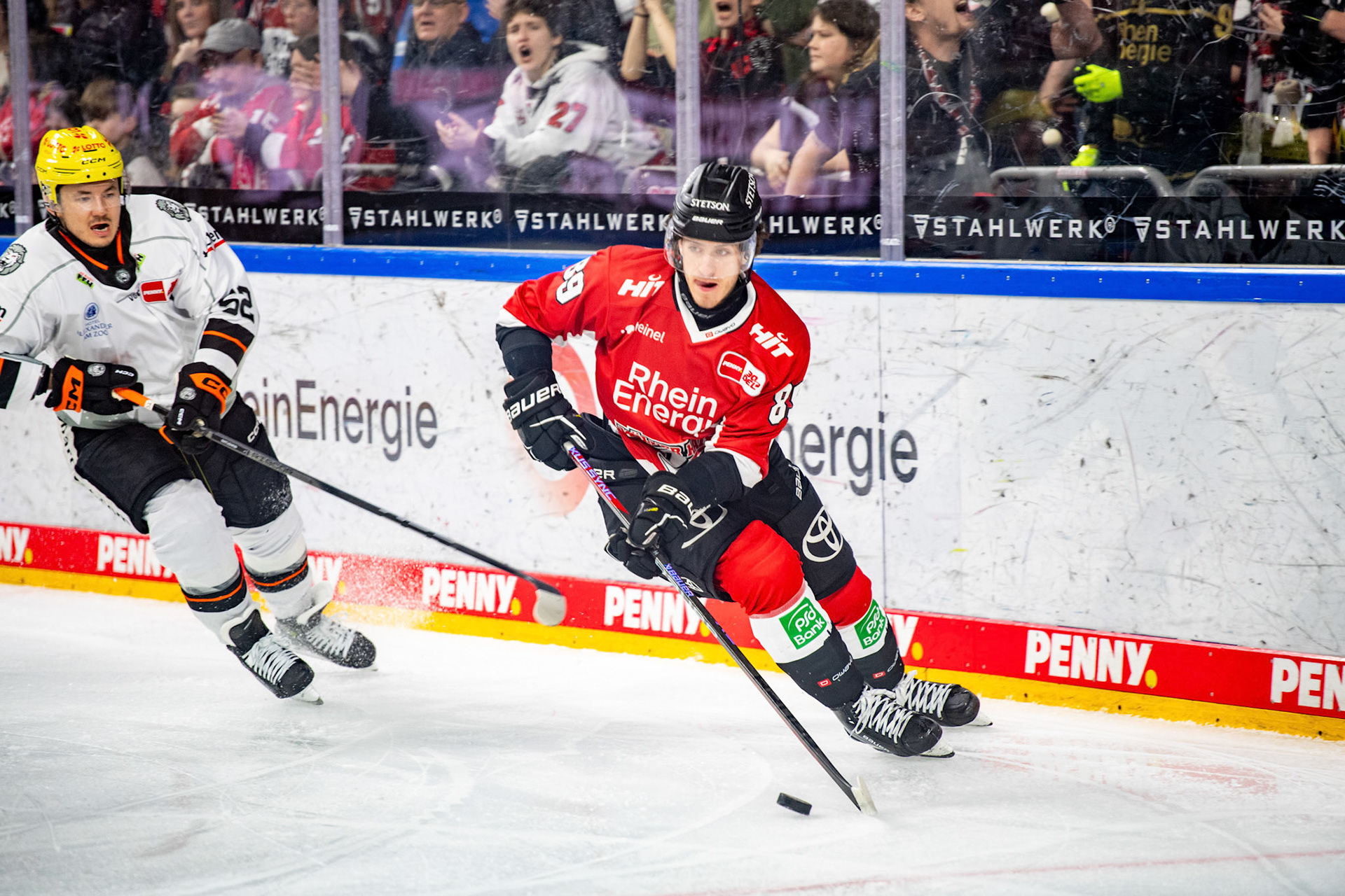 Gregor Macleod, Maksim Matushkin; DEL Kölner Haie - Frankfurter Löwen, 16.02.2024