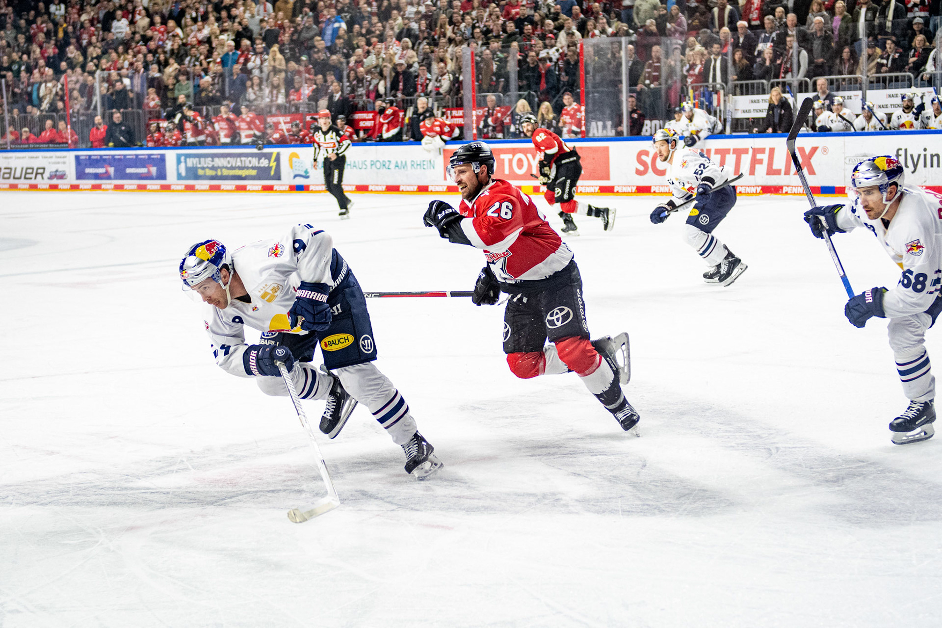 David Mcintyre; DEL Kölner Haie - EHC Red Bull München, 27.10.2023