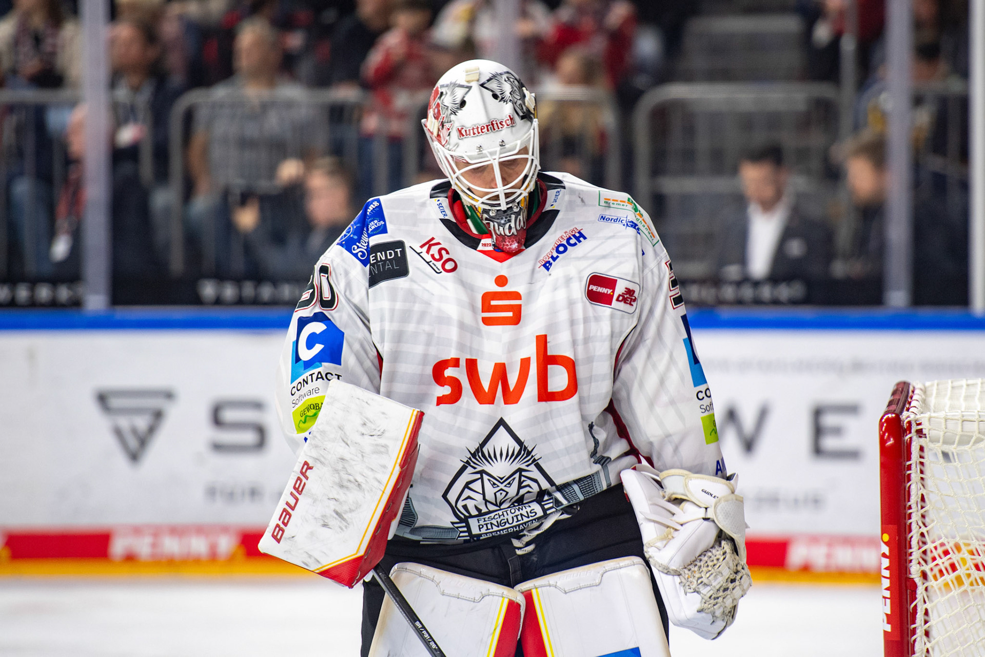 Kristers Gudlevskis; DEL Kölner Haie - Bremerhaven Fischtown Pinguins, 01.11.2023