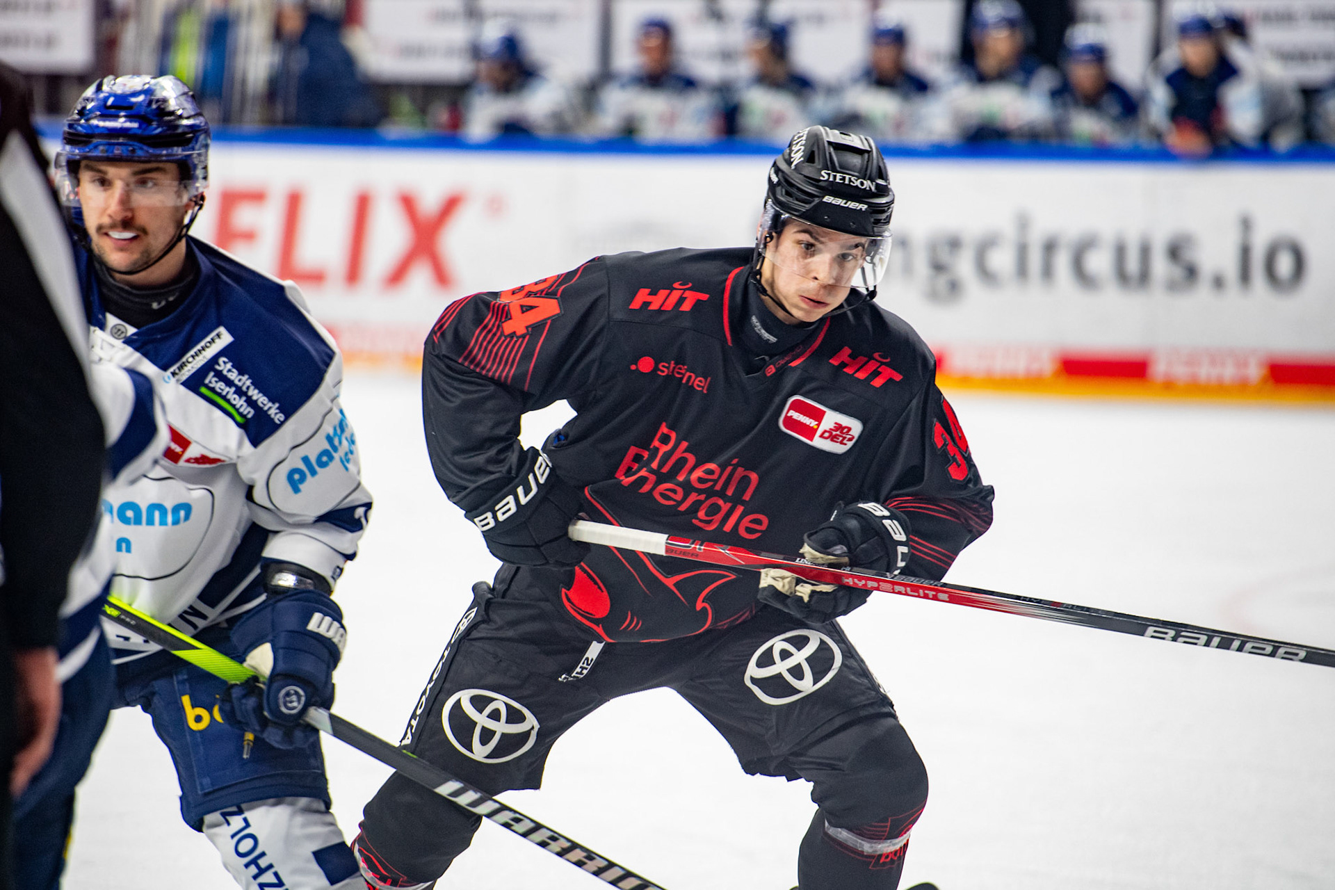 Elias Lindner; DEL Kölner Haie - Iserlohn Roosters, 13.02.2024