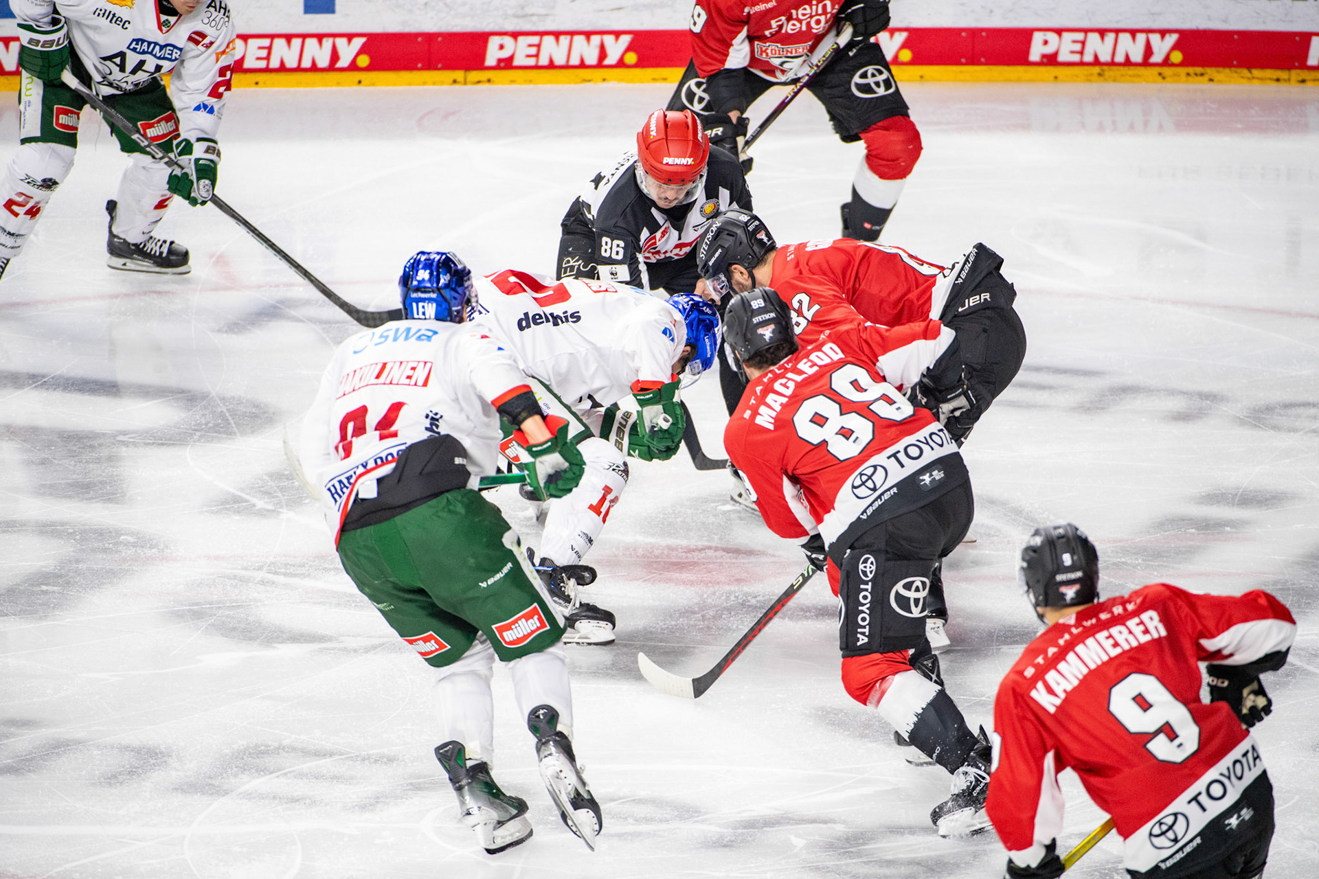 Gregor Macleod; DEL Kölner Haie - Augsburger Panther, 19.11.2023