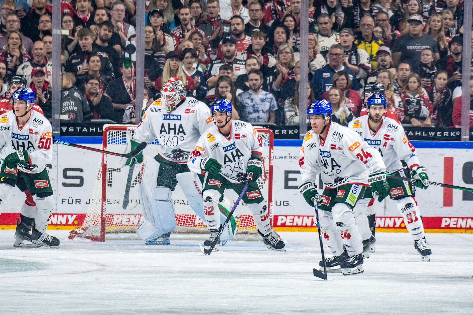 Augsburger Panther; DEL Kölner Haie - Augsburger Panther, 03.10.2023